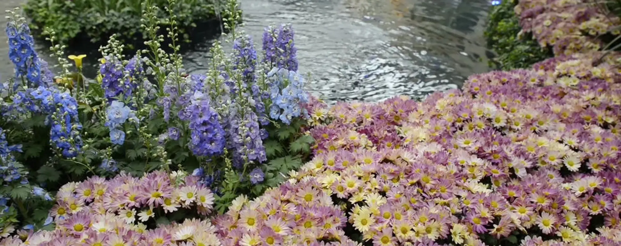 Reflect Health & Wellbeing