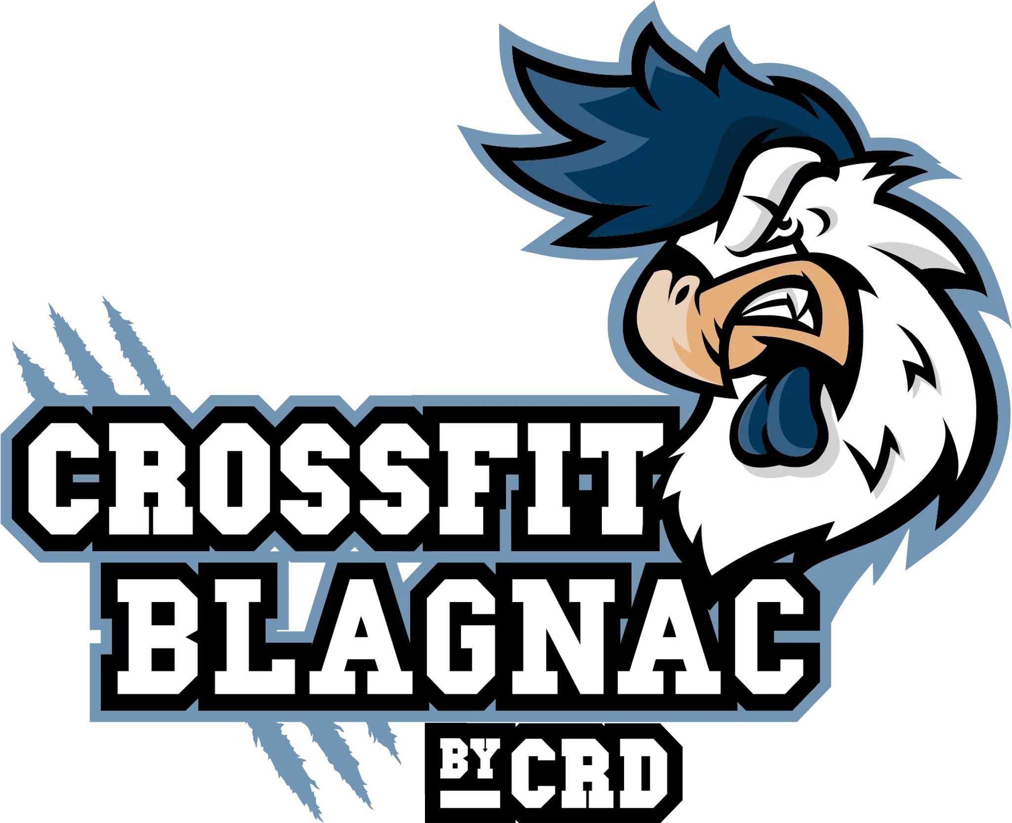 CrossFit Rive Droite