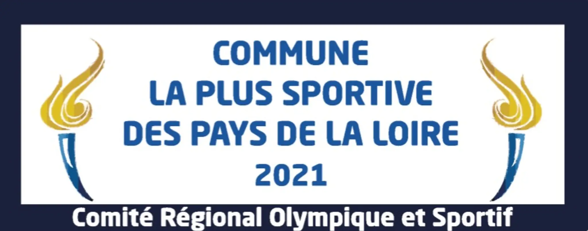 Vsf Gymnastique