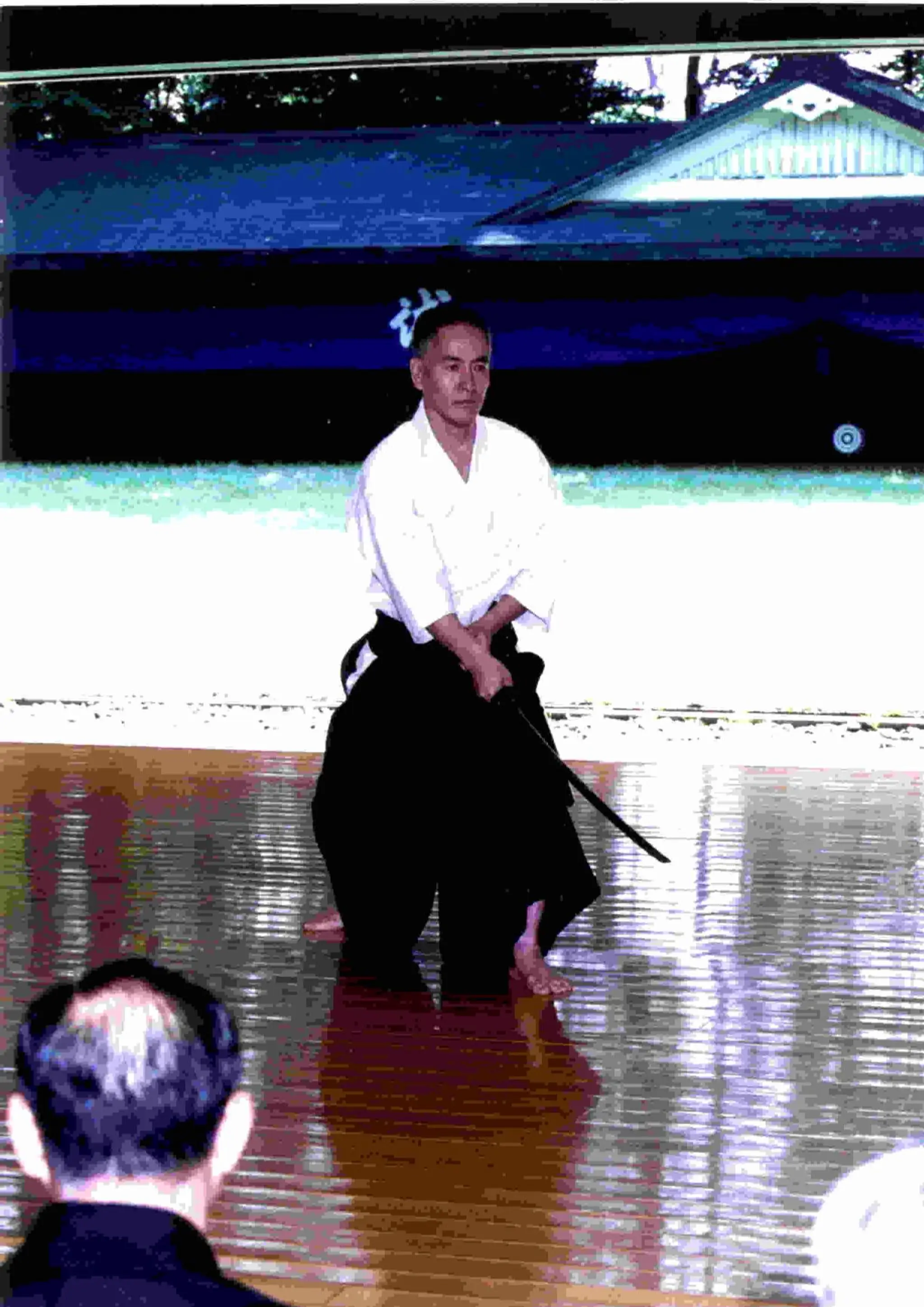 East Sheen Aikido and Kenjutsu