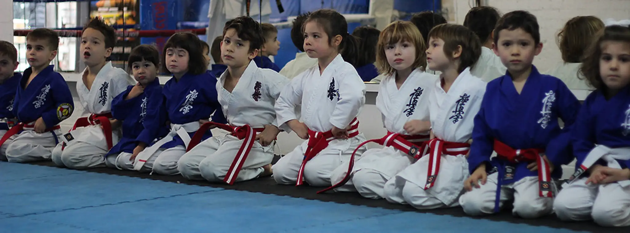 Malvern Martial Arts