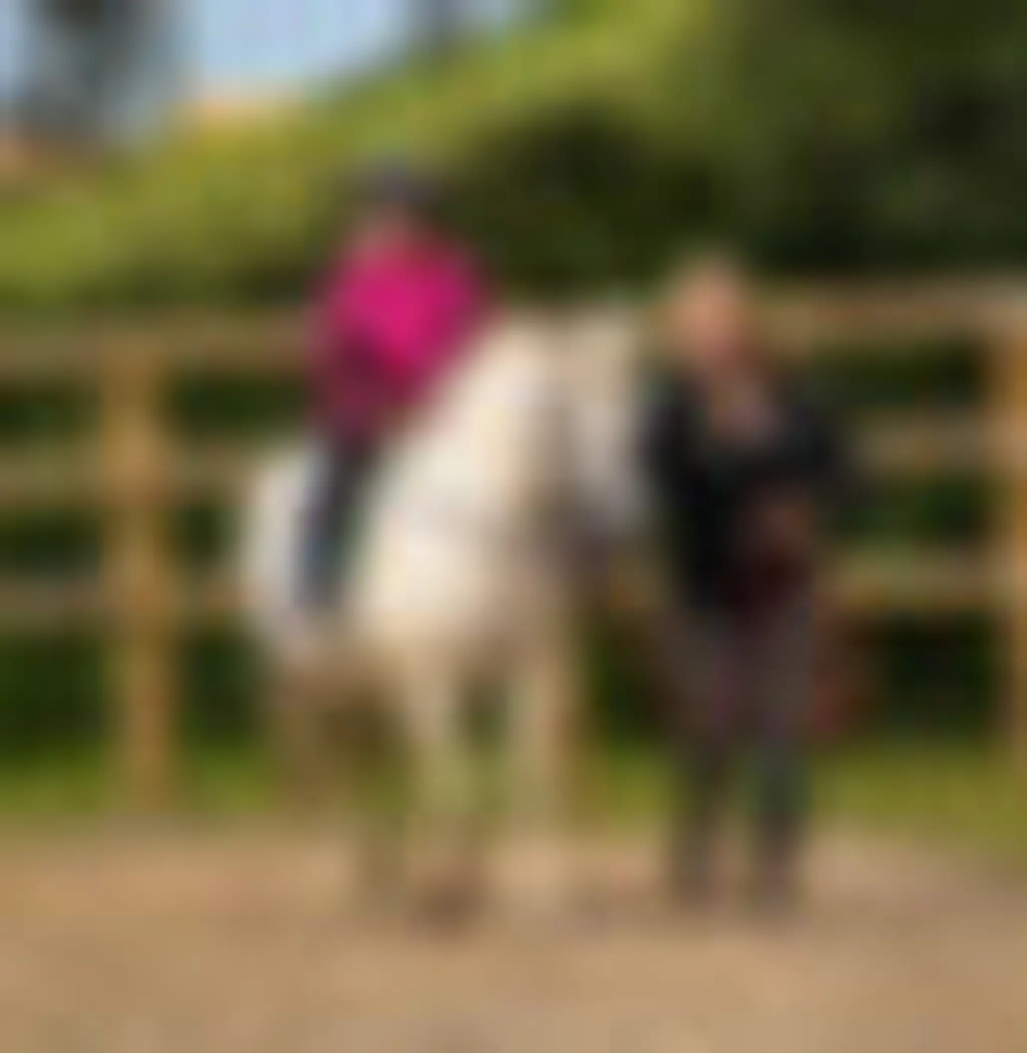 Woolacombe riding stables