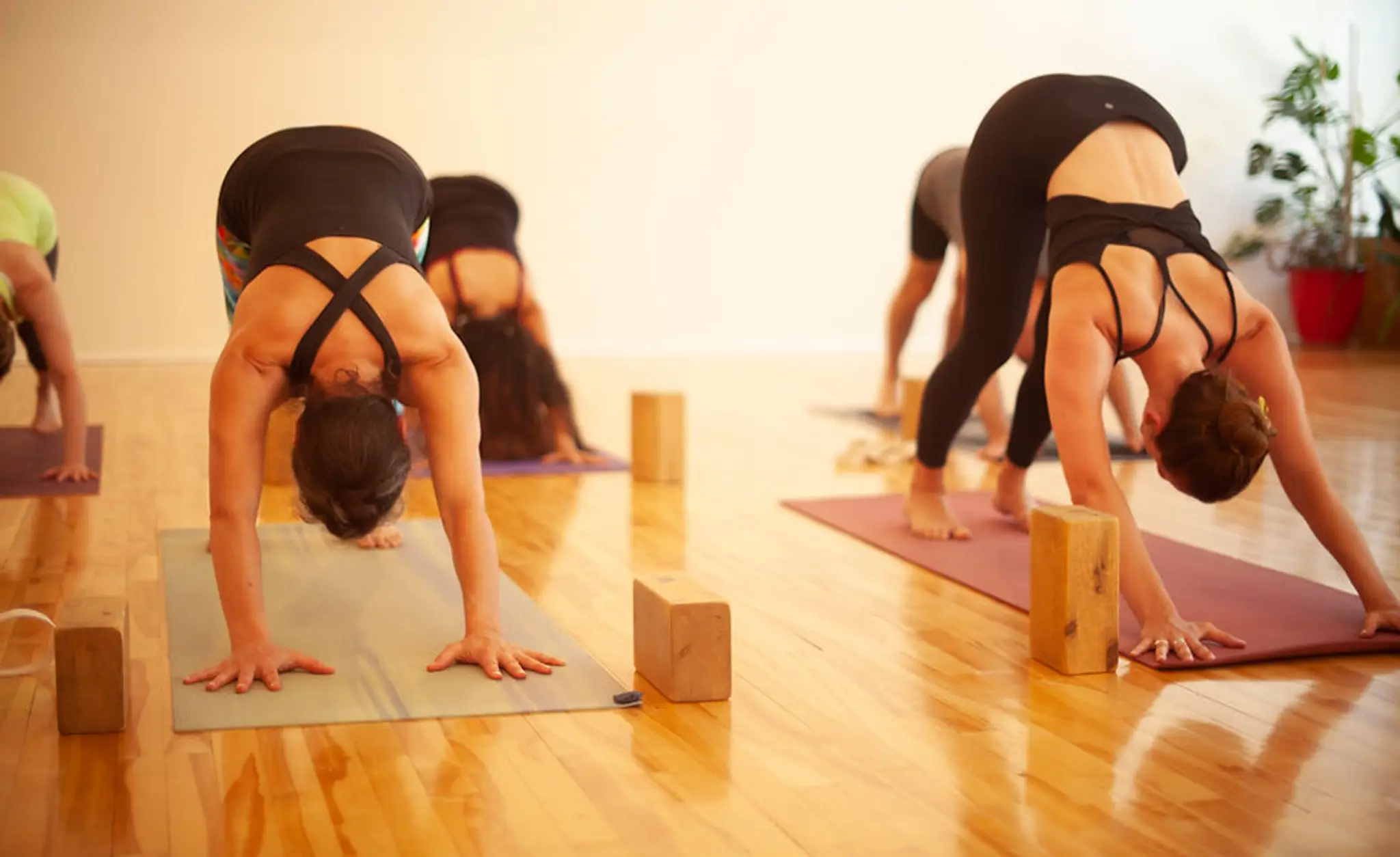 Ashtanga Yoga Montreal