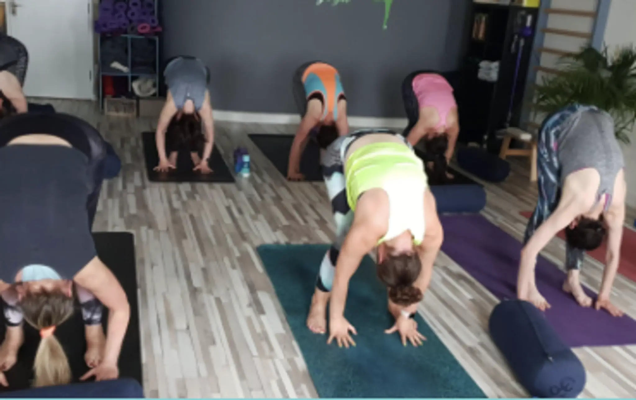 Zenergy Yoga