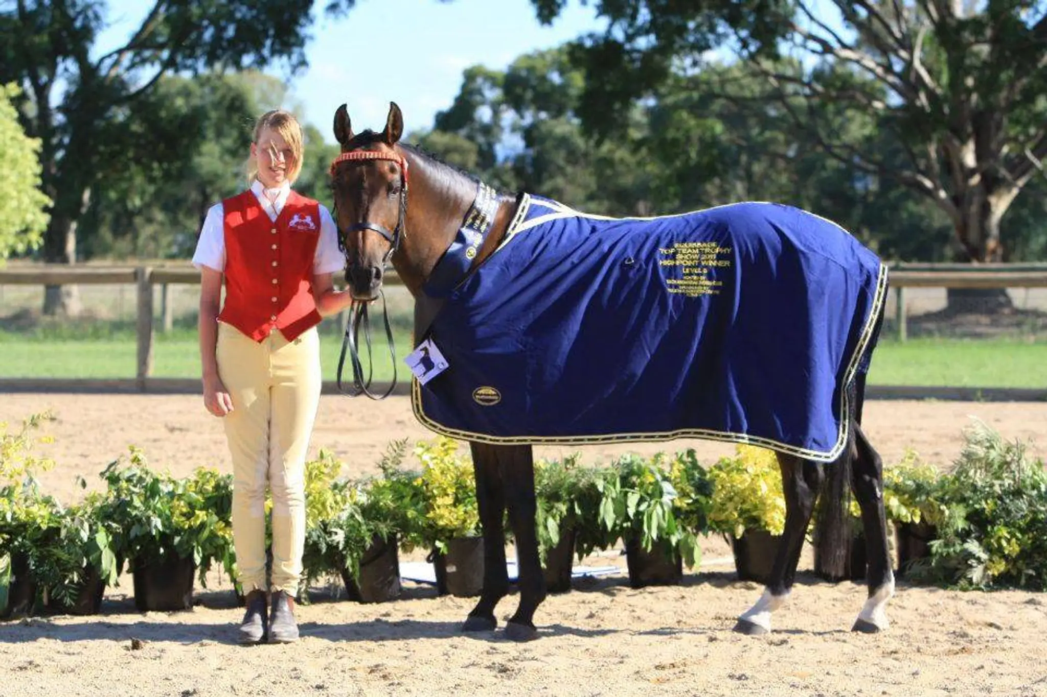 Ellamber Park Equestrian