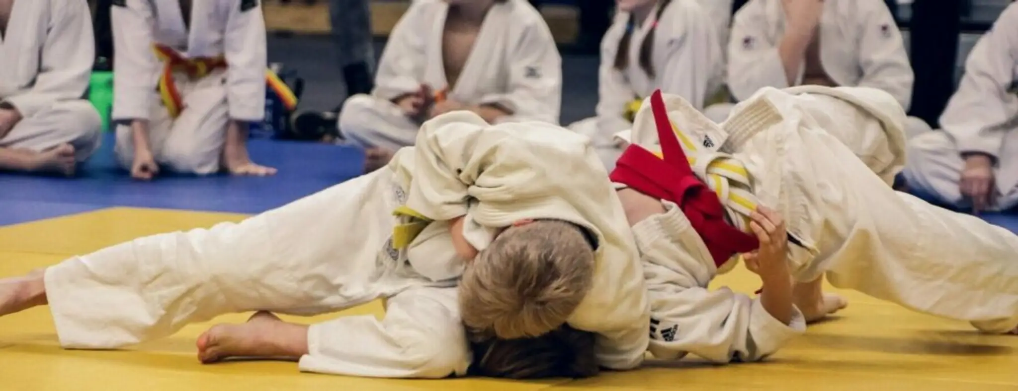 Mitsuhashi Dojo Judo, Jujitsu, Taiso