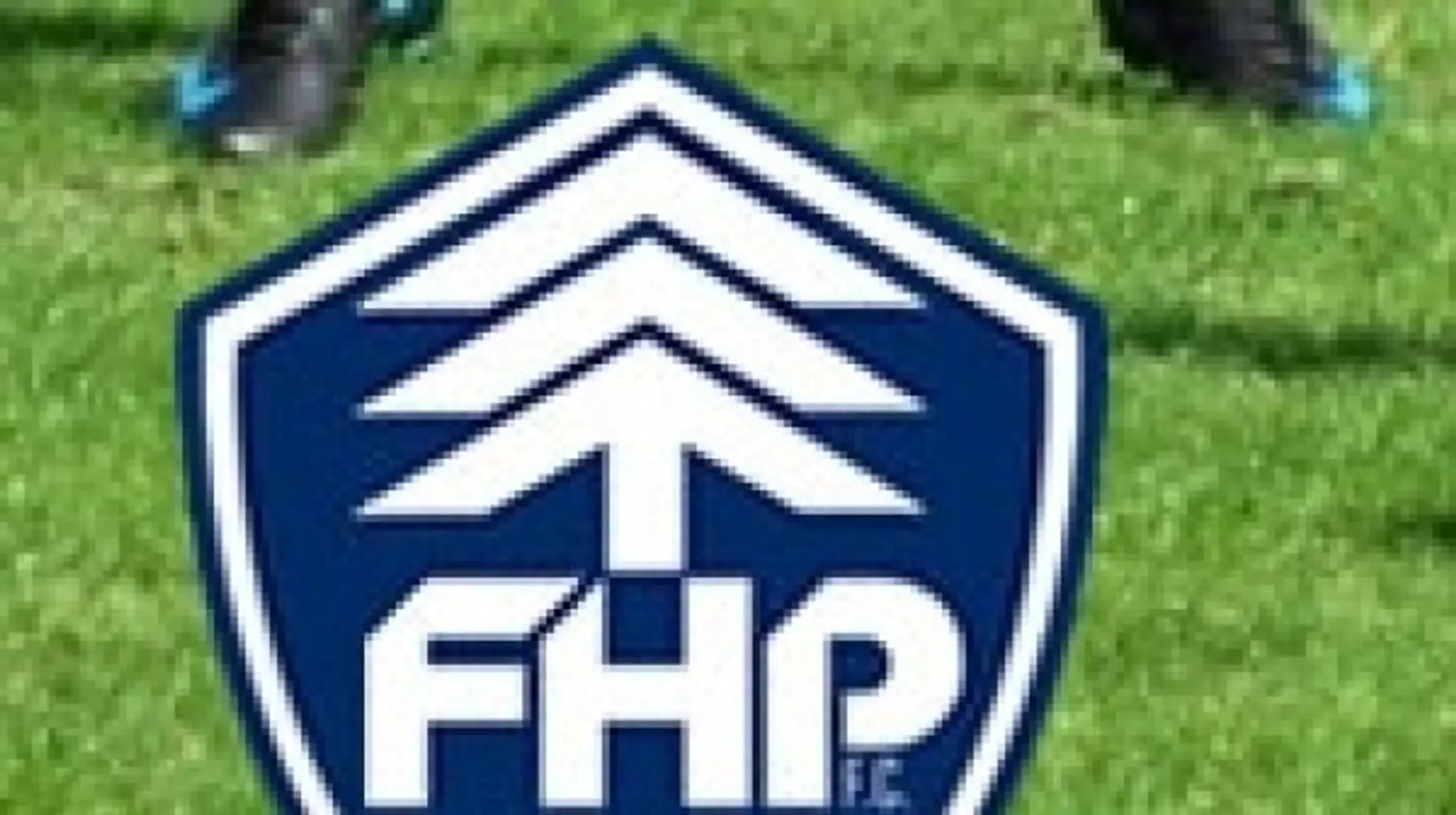 Forest Hill Park FC