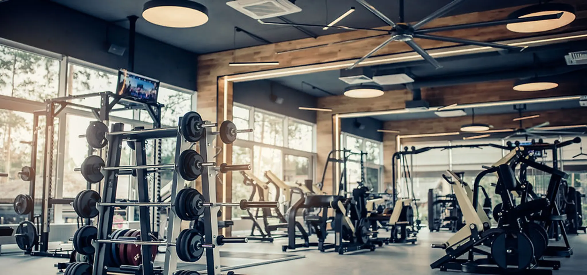 Lake District barbell