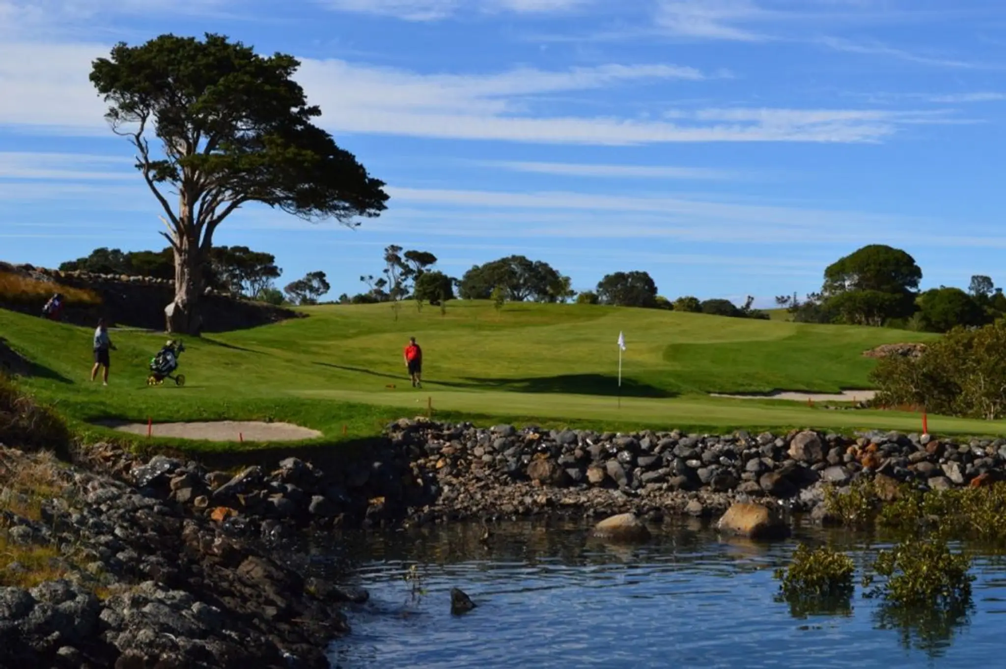 Napier Golf Club Pro Shop - Andrew Henare Golf