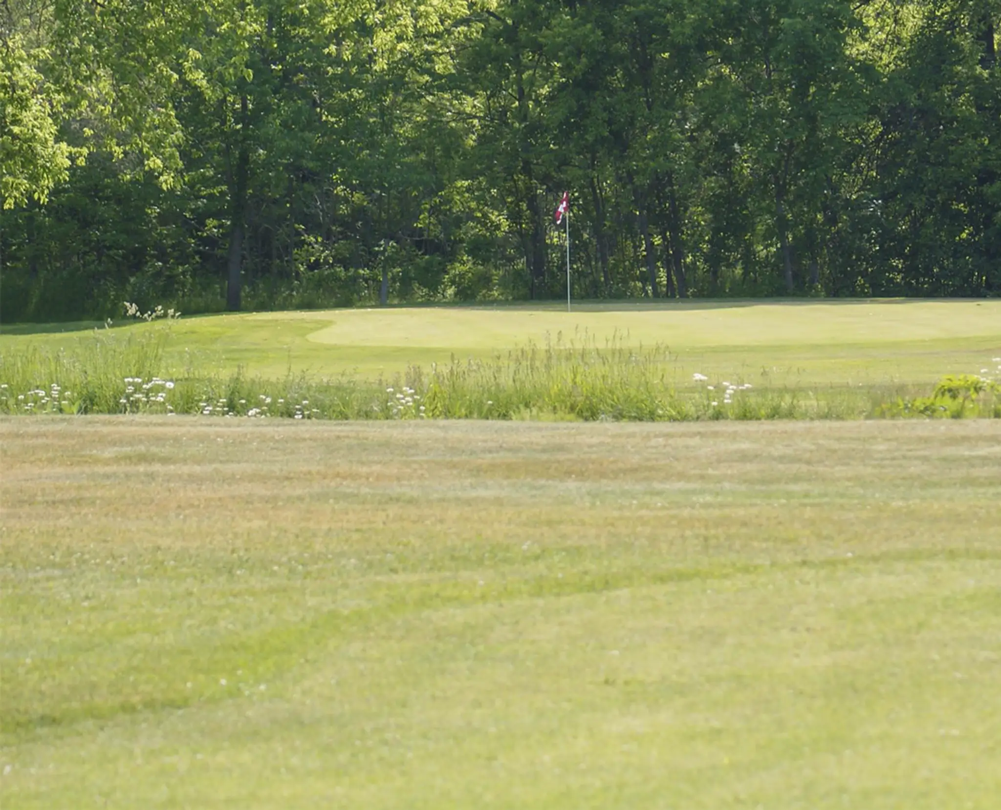 Frankford Golf Course