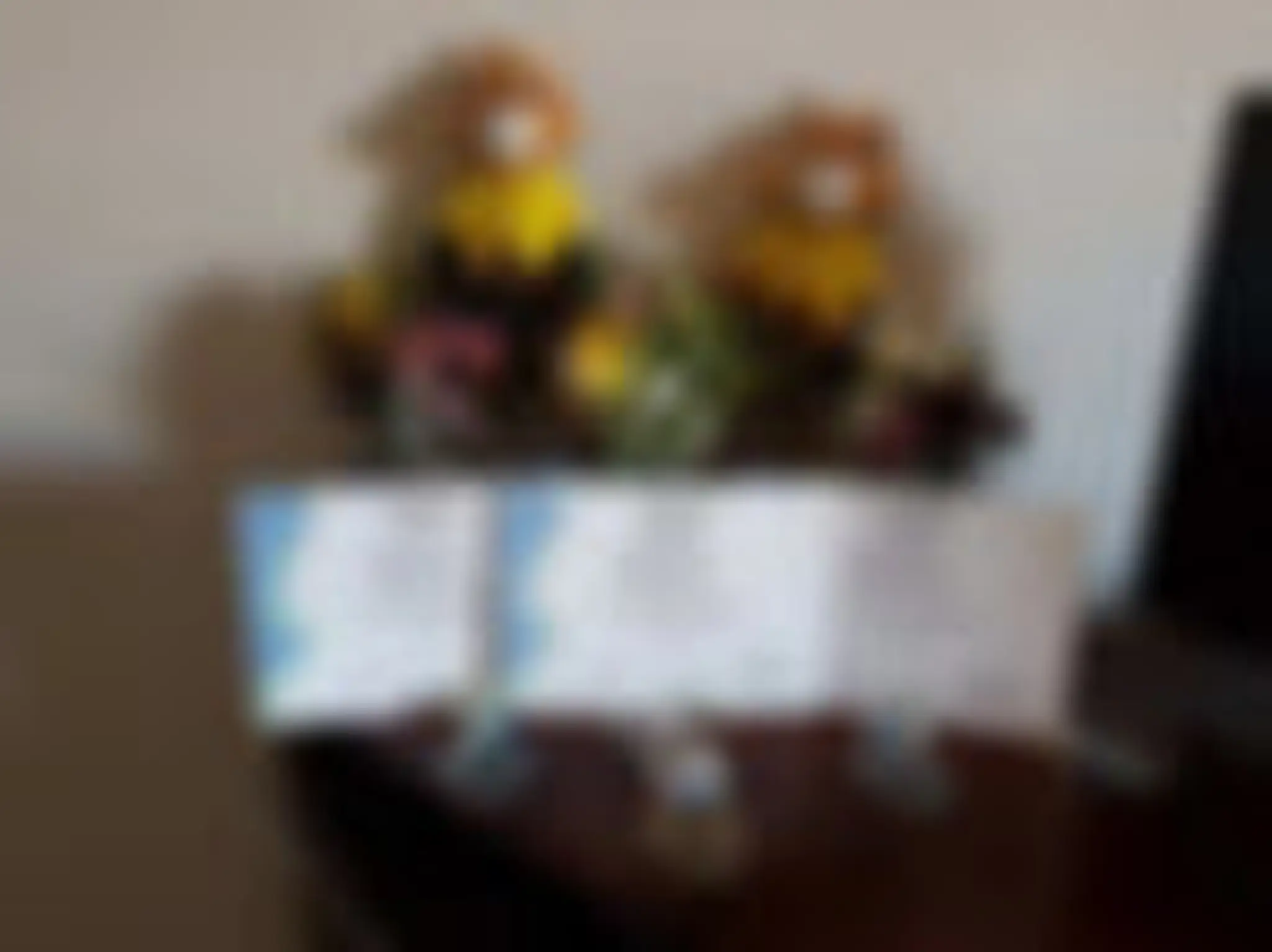 Calgary Tai Chi & Martial Arts College