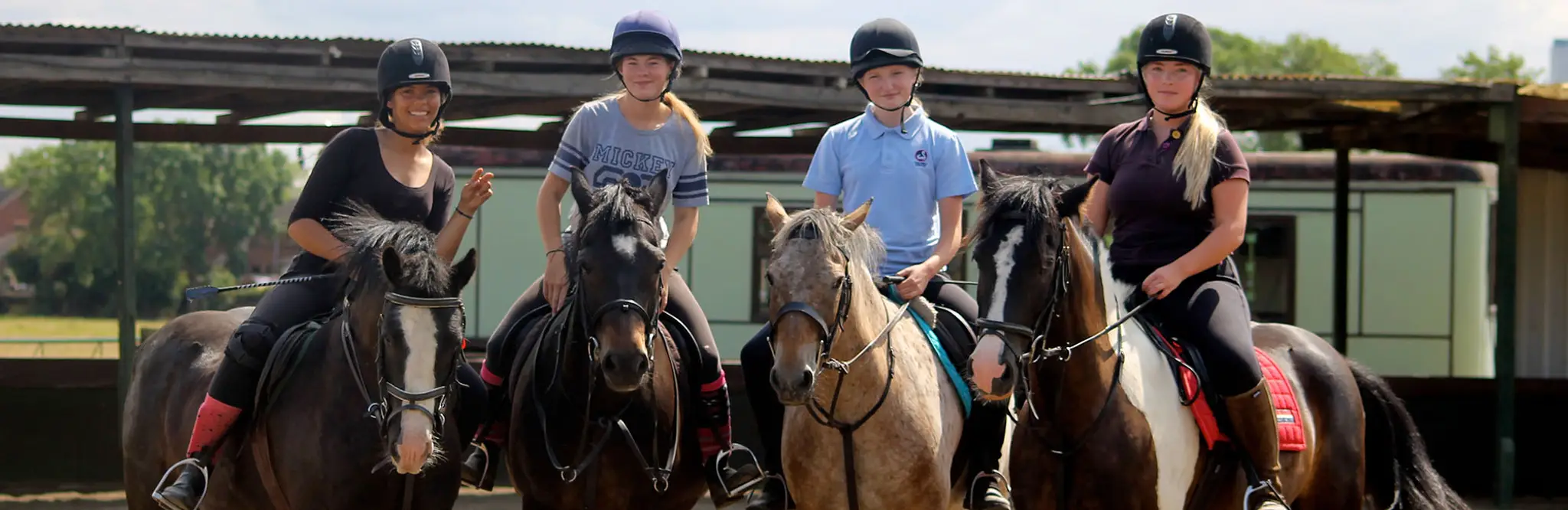 St Leonard's Riding School and Livery Yard