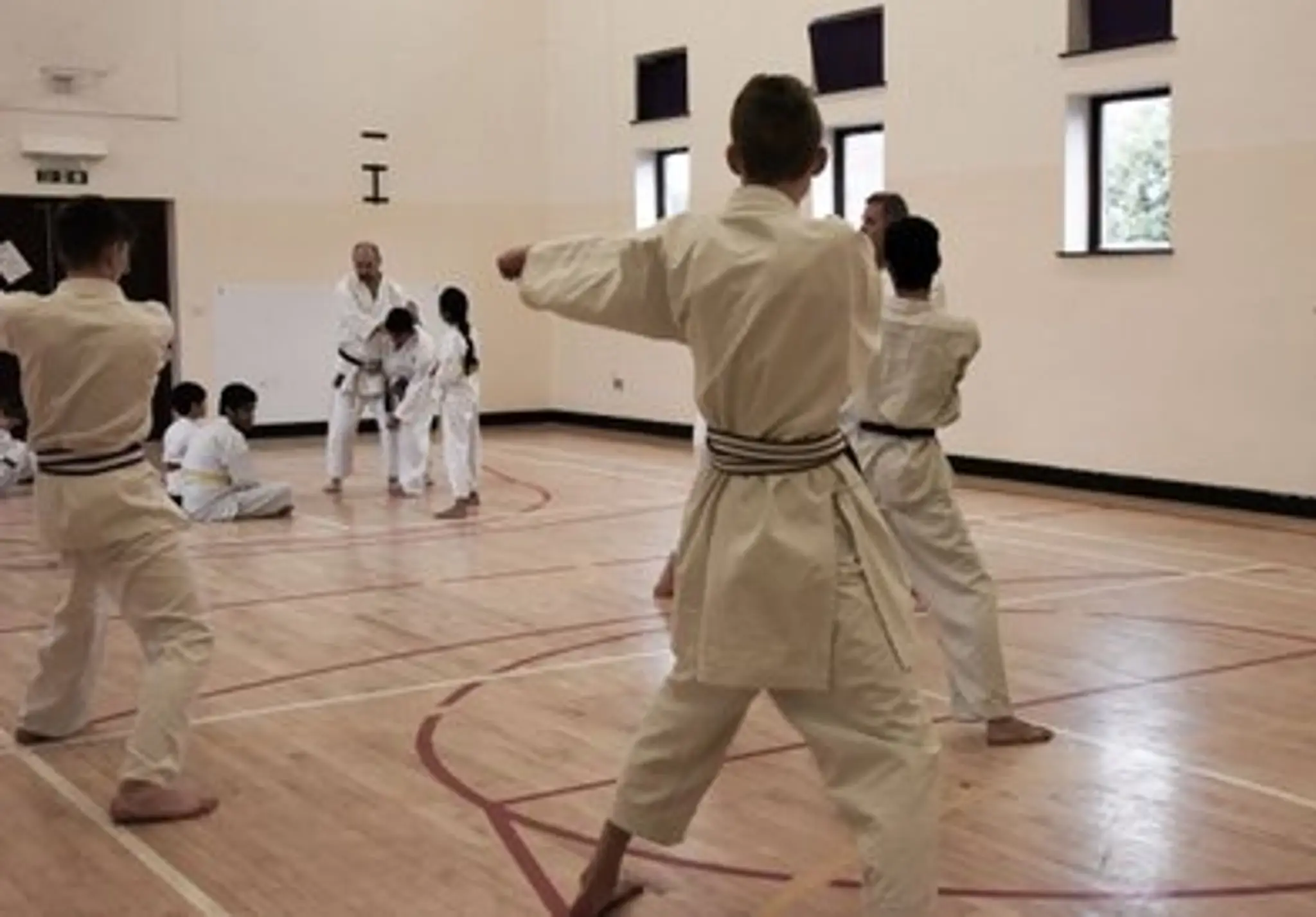 Shintai Karate
