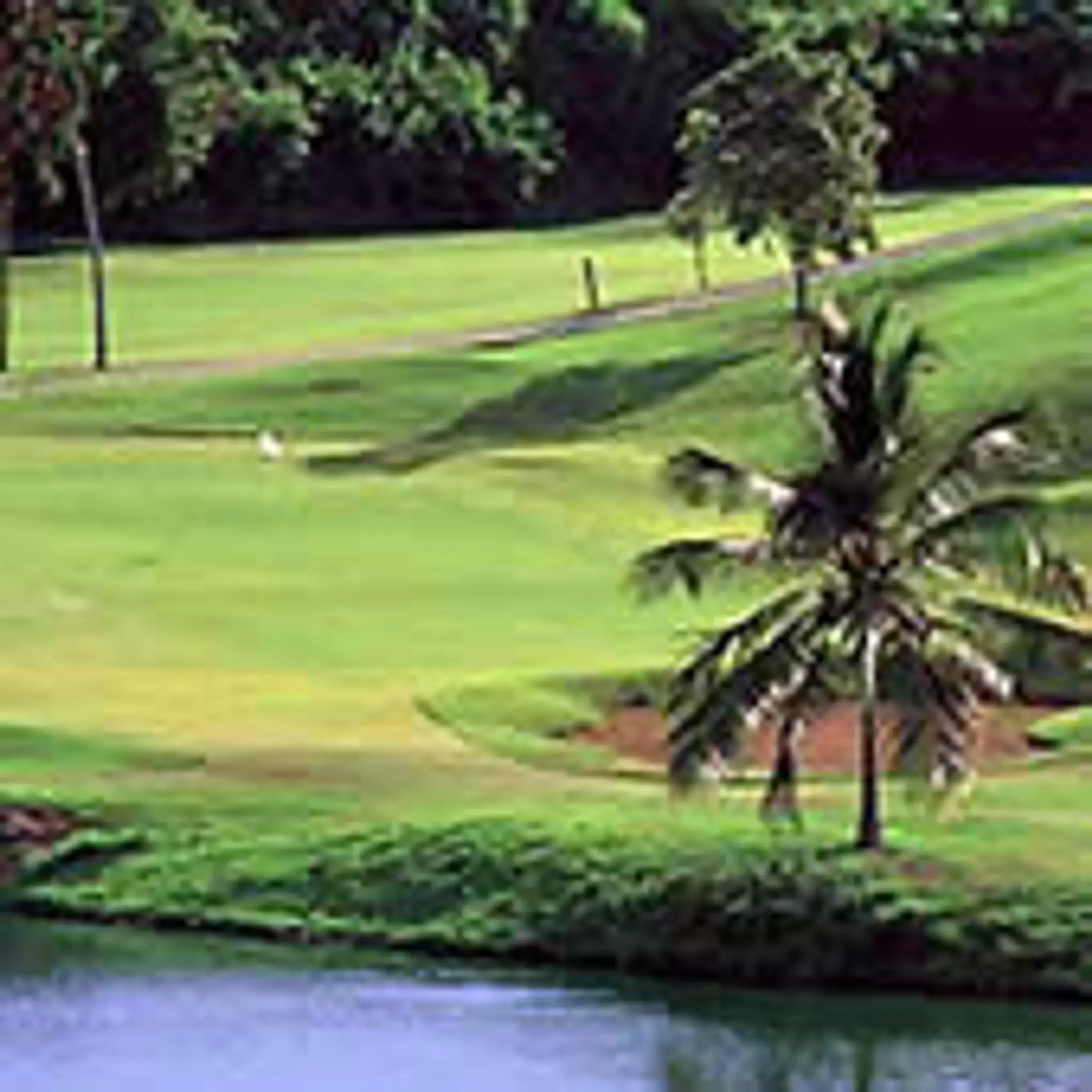 ASM Golf Singapore Pte Ltd