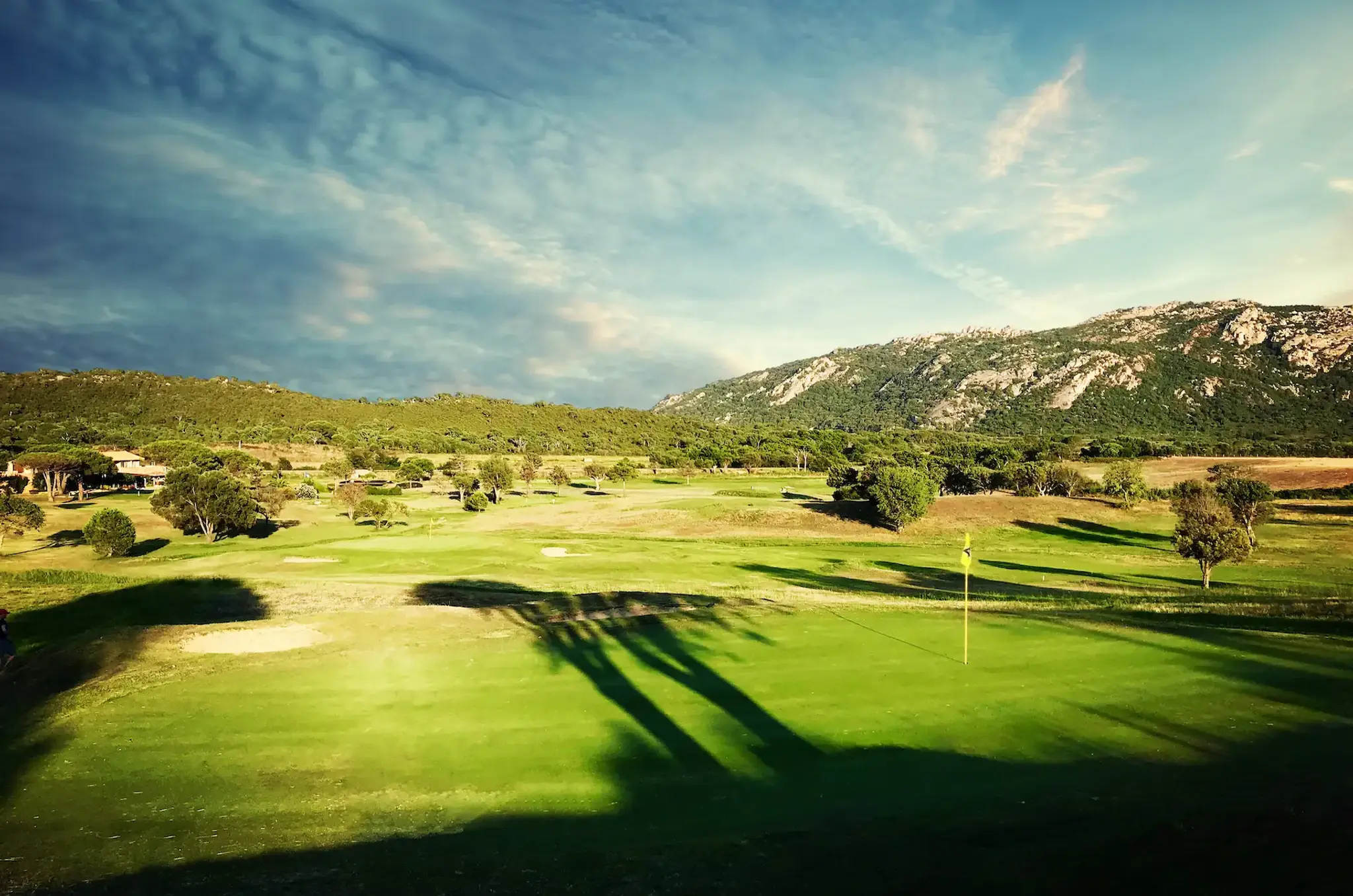 School Golf
