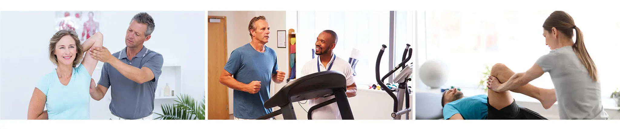 P T Health Solutions Corporation