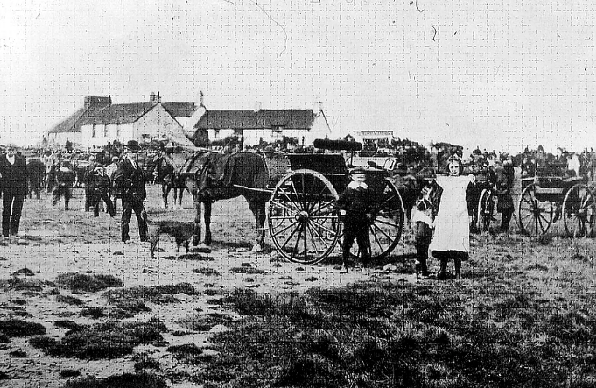 Dowlais Pony Improvement Society