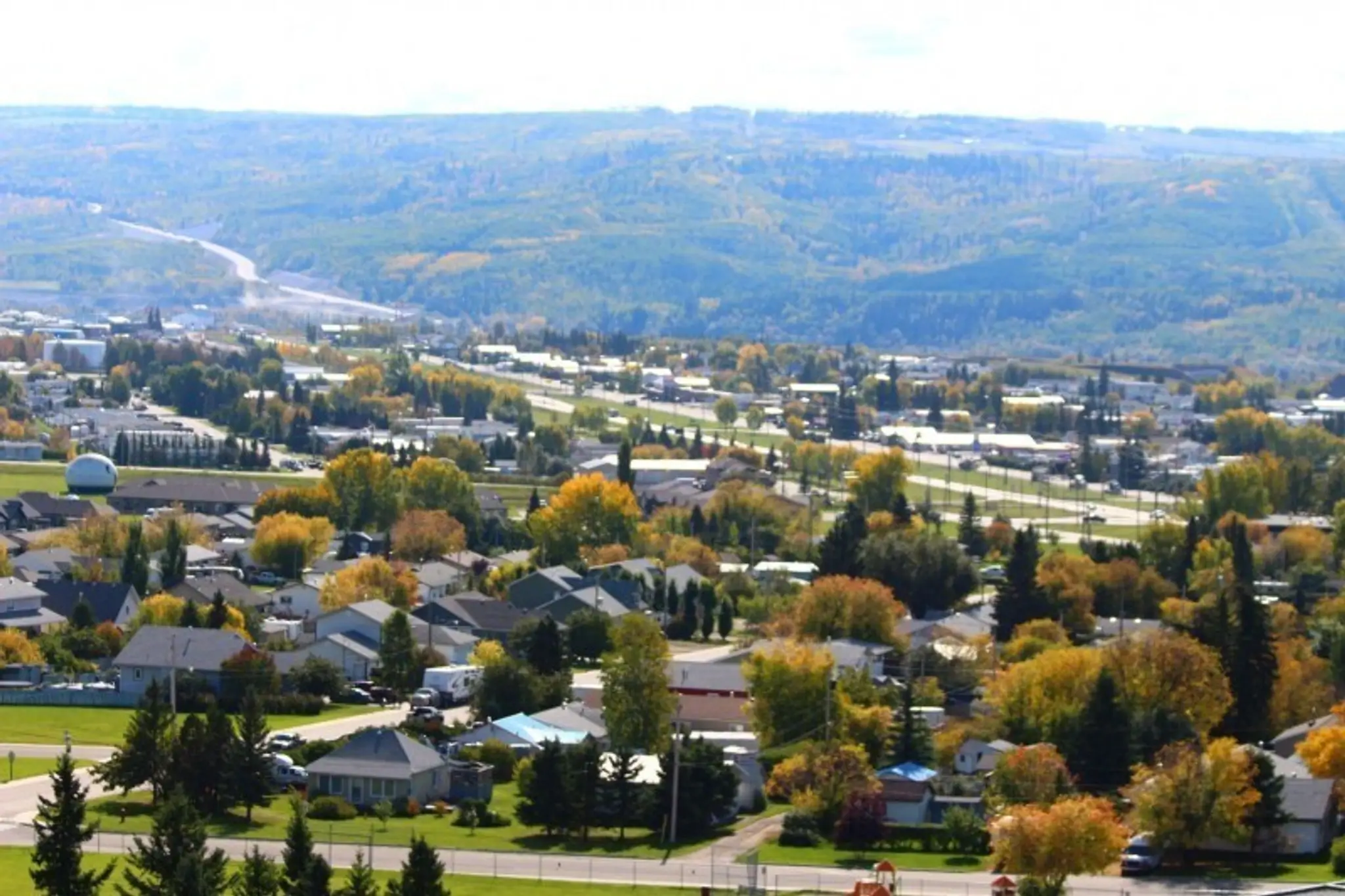 Taylor Swimming Pool