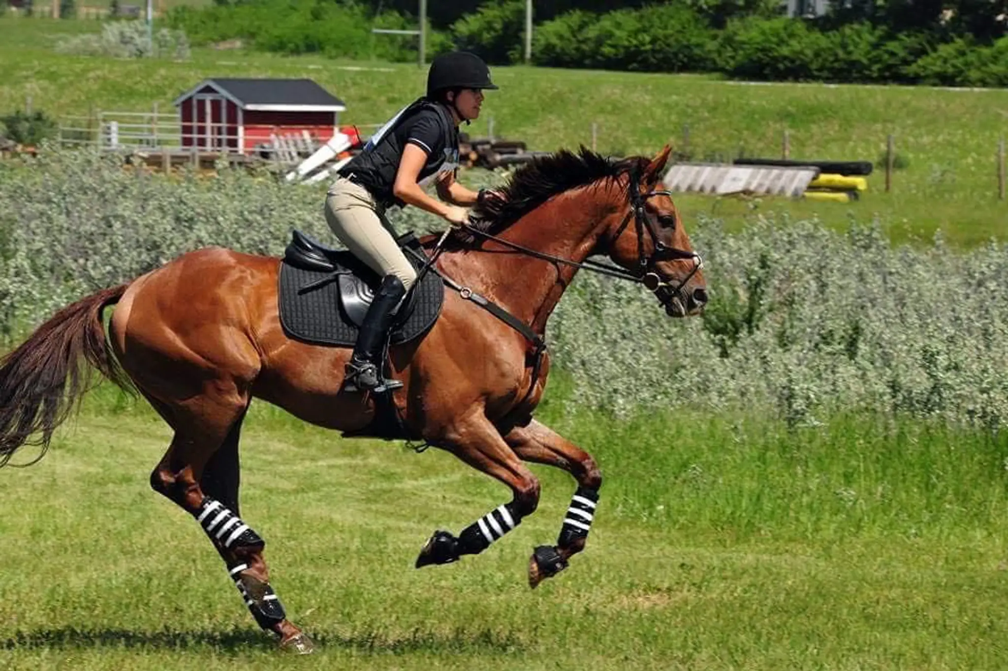 Squamish Valley Equestrian Association