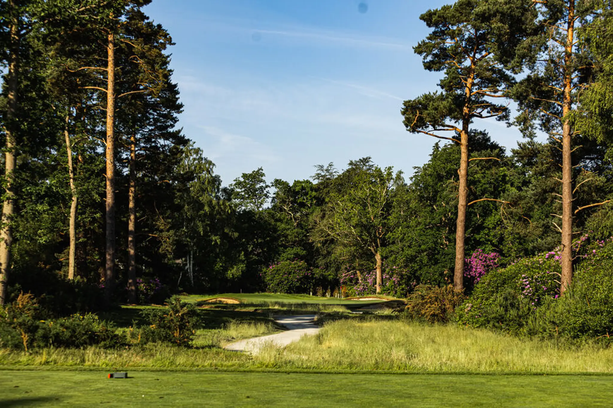 North Hants Golf Club