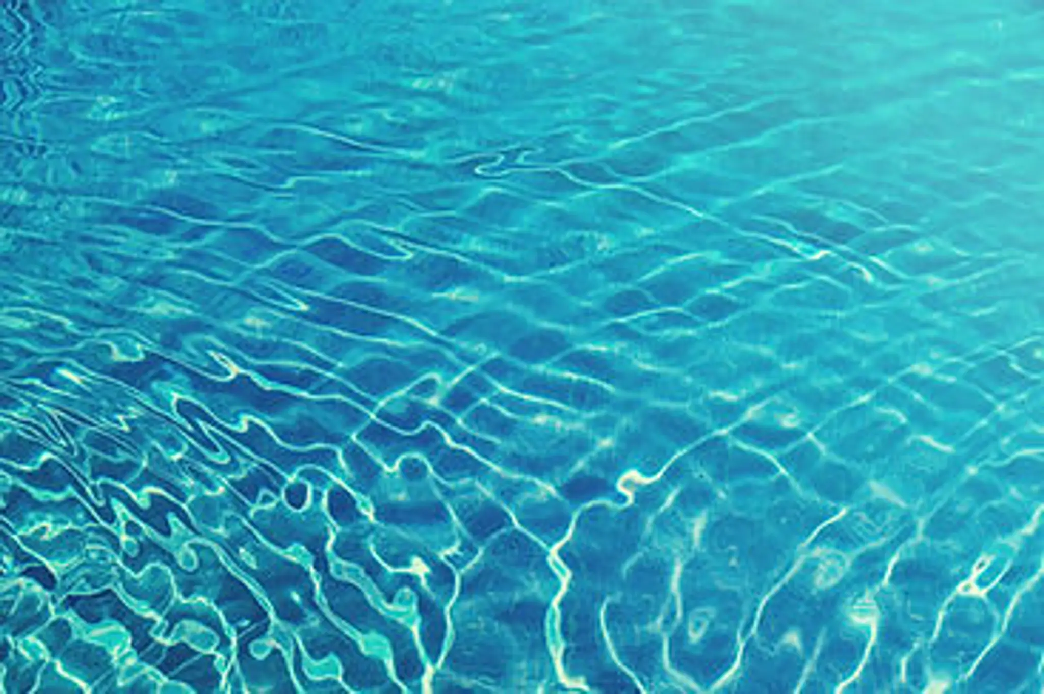 Janet Barber Aquatics - Office