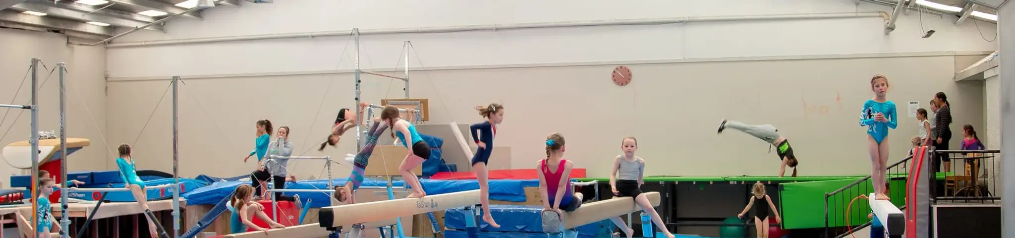 Te Wero Gymnastics