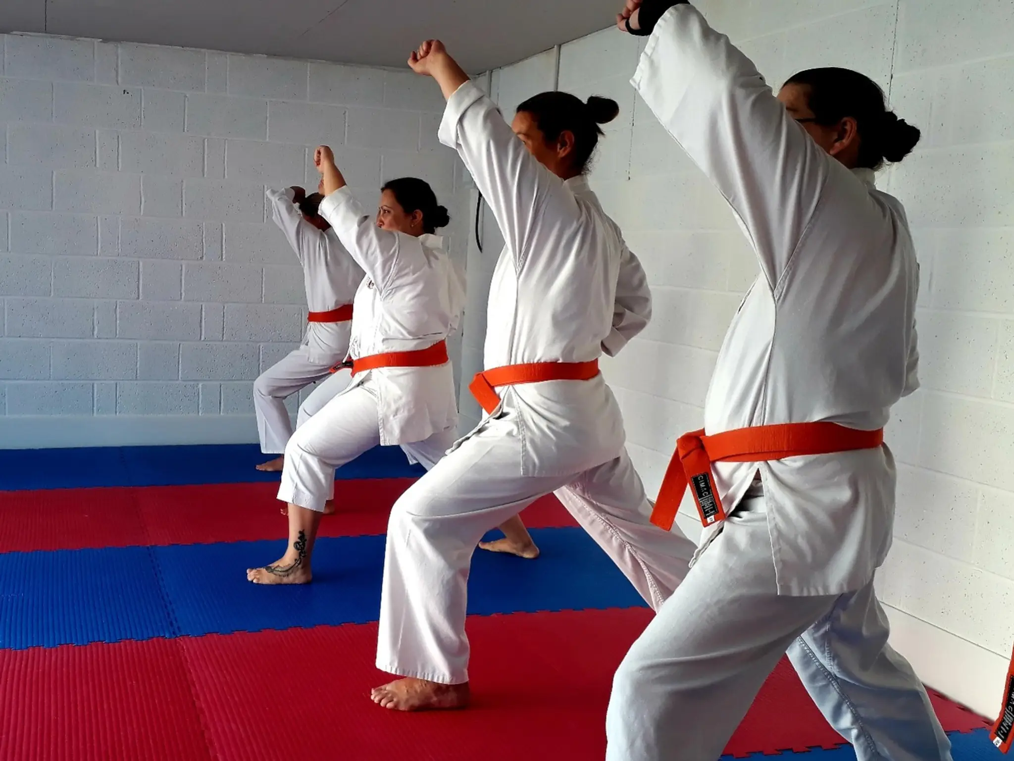 Okinawa Shotokan Karate Academy - Bexleyheath