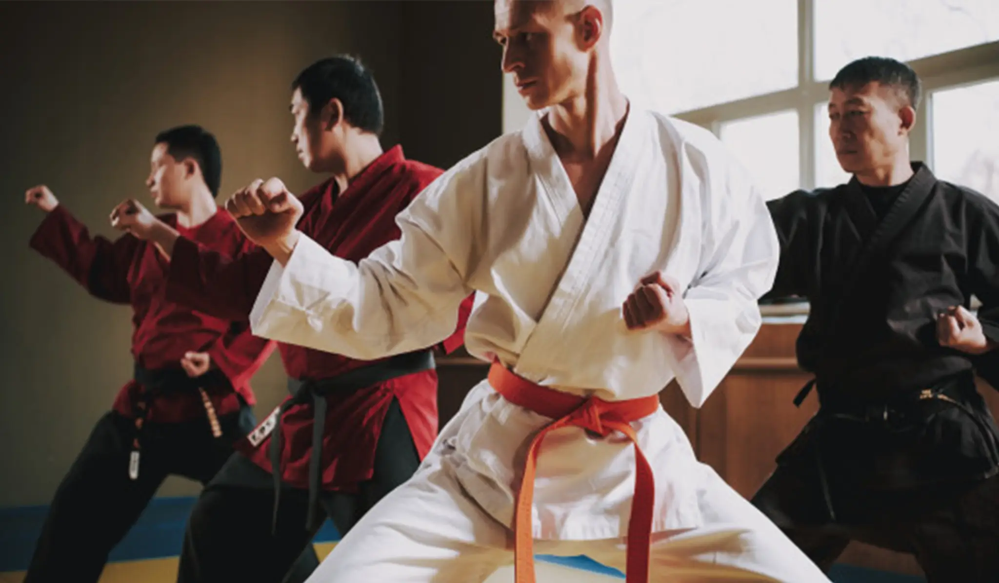 Académie Karaté Do Paris 17ème