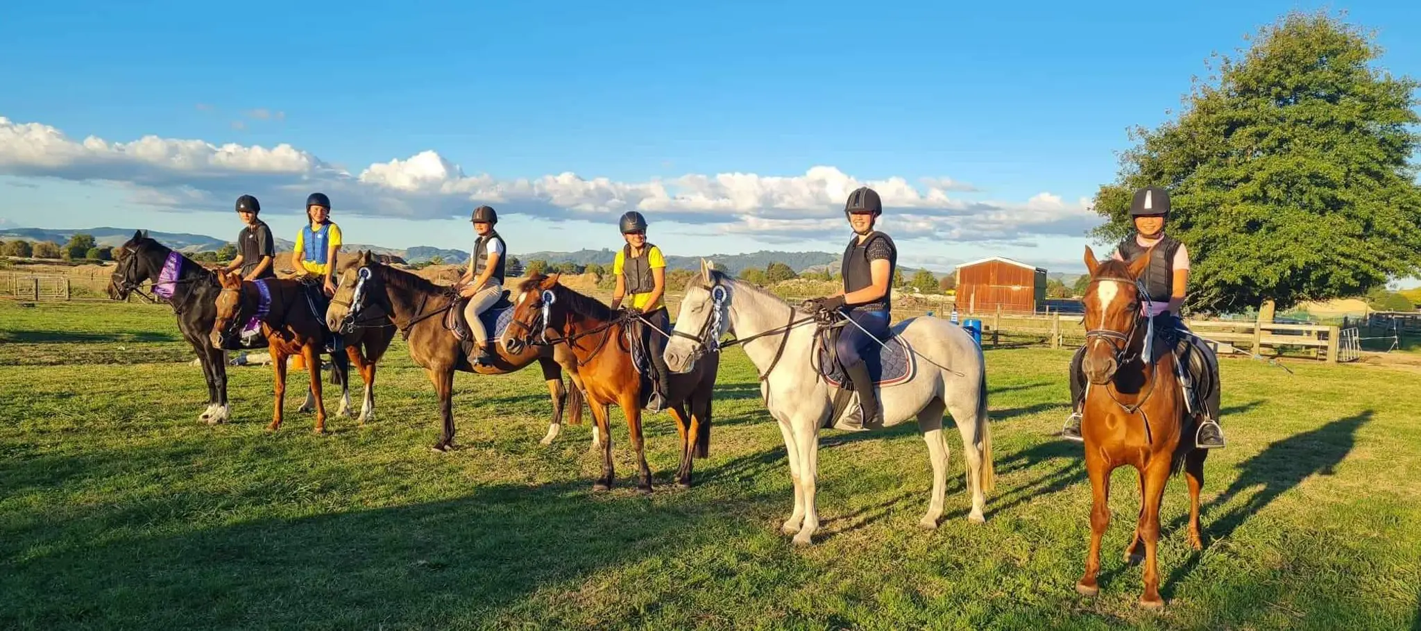 Overdale Riding Centre