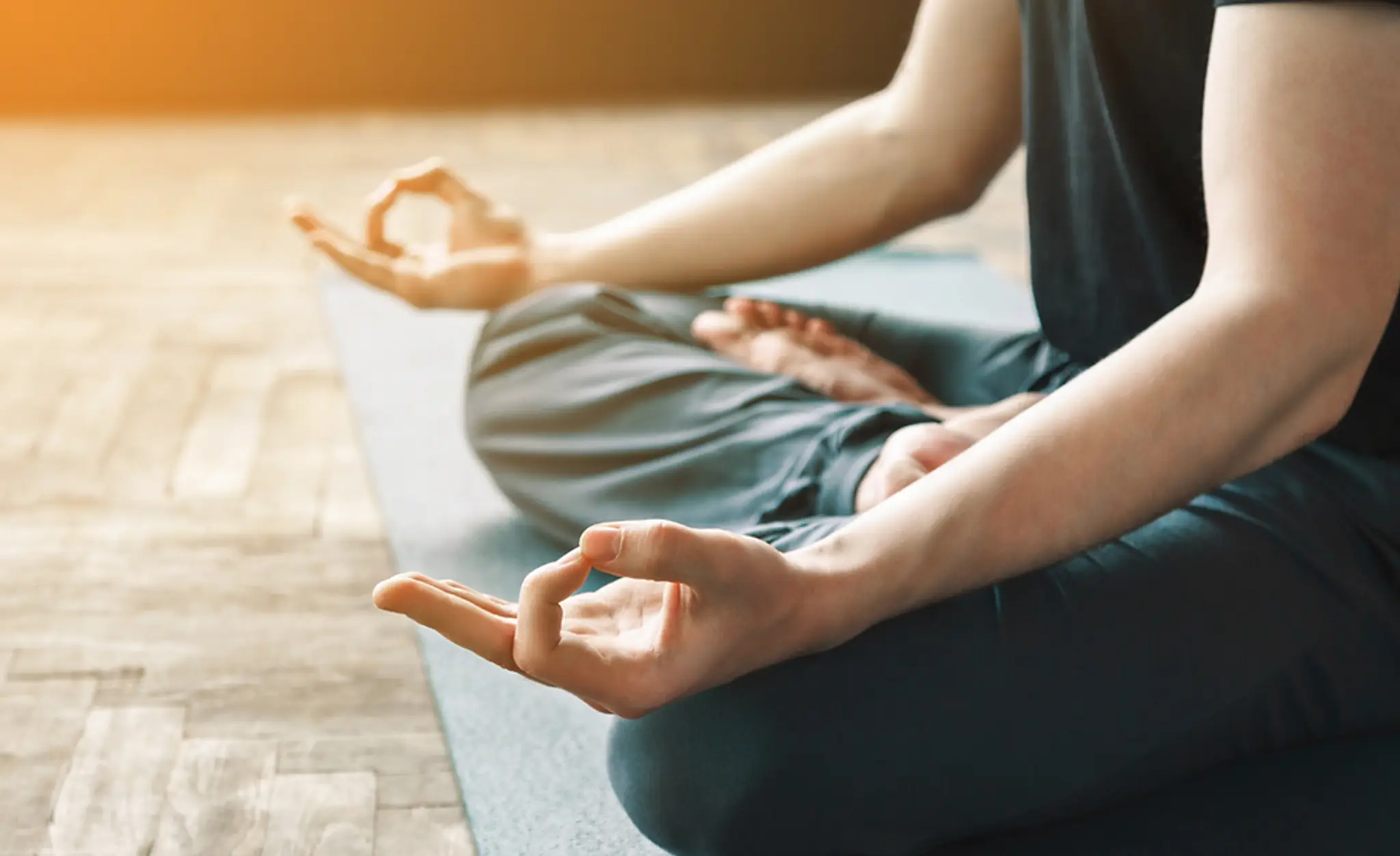 Barbara Wilkin Yoga For All