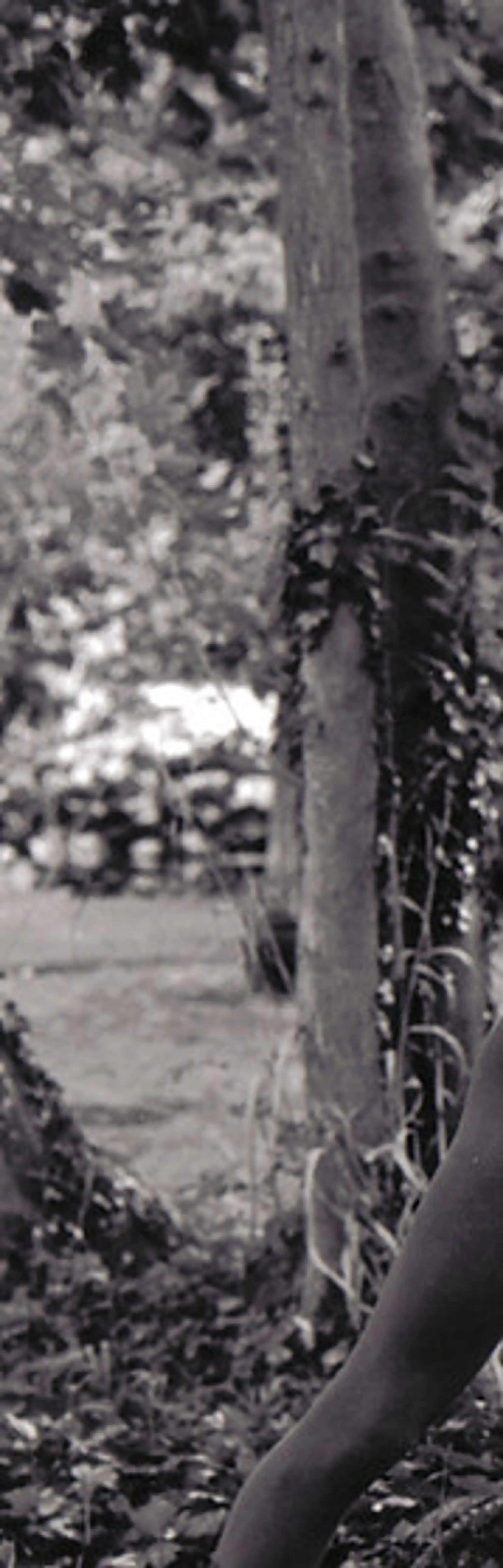 The Classical Ballet & Theatre Dance School