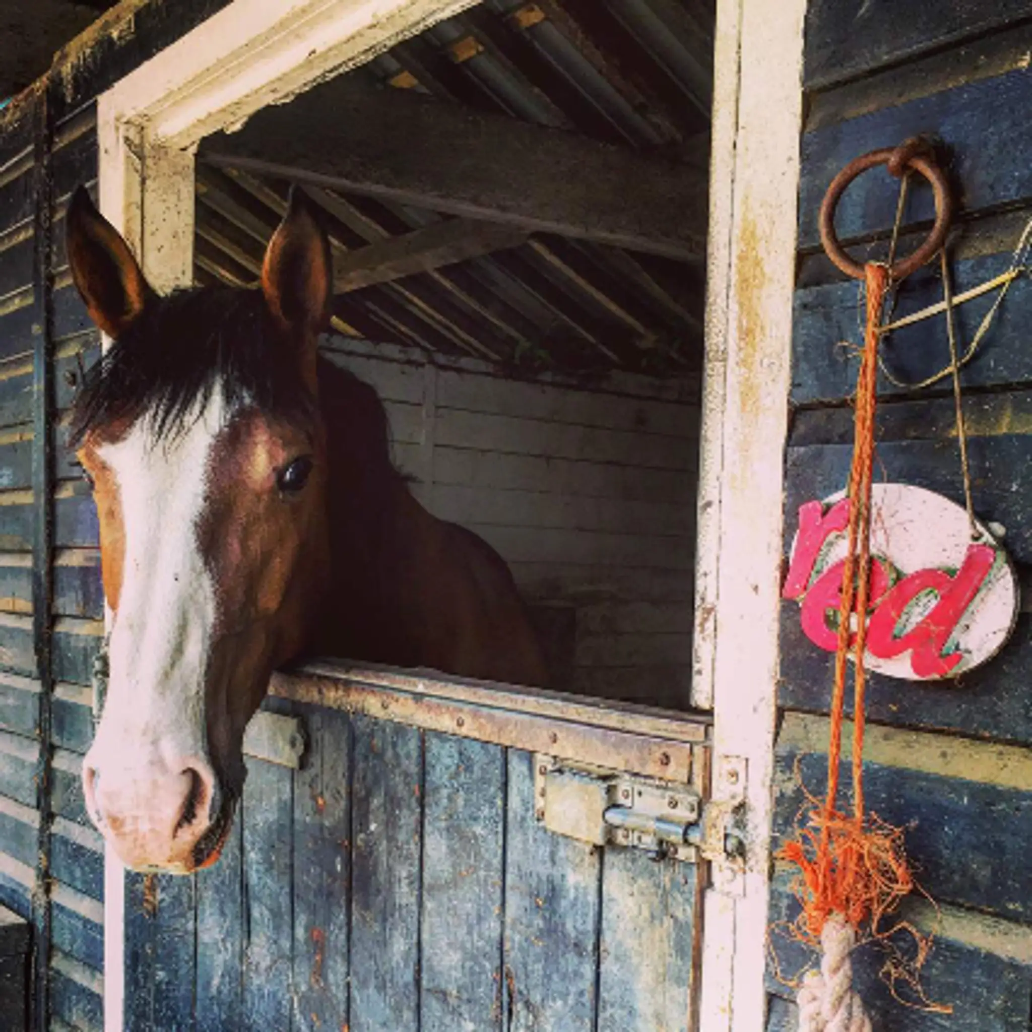 Sandridgebury Livery Stables
