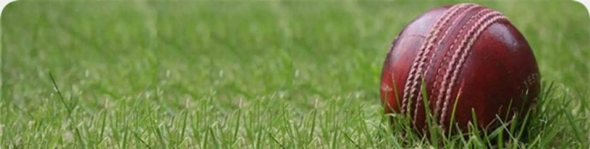 Rudgwick Cricket Club