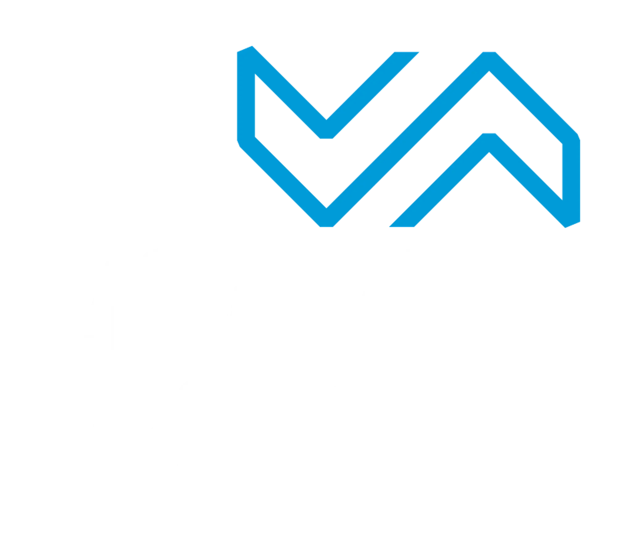 the movement project