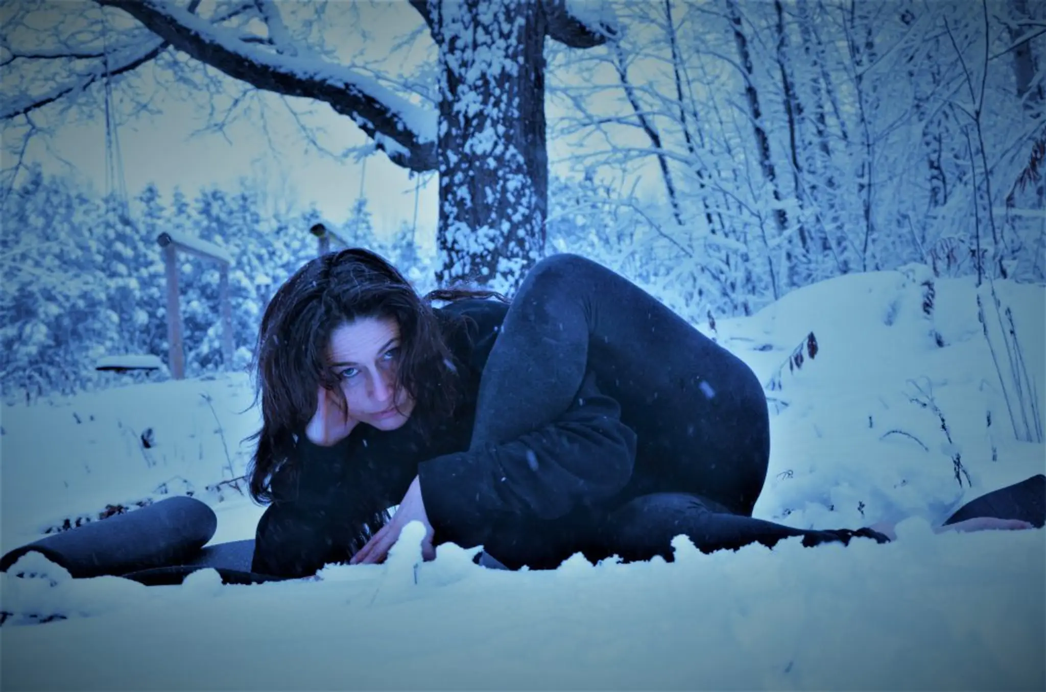 Hidden Forest Studio