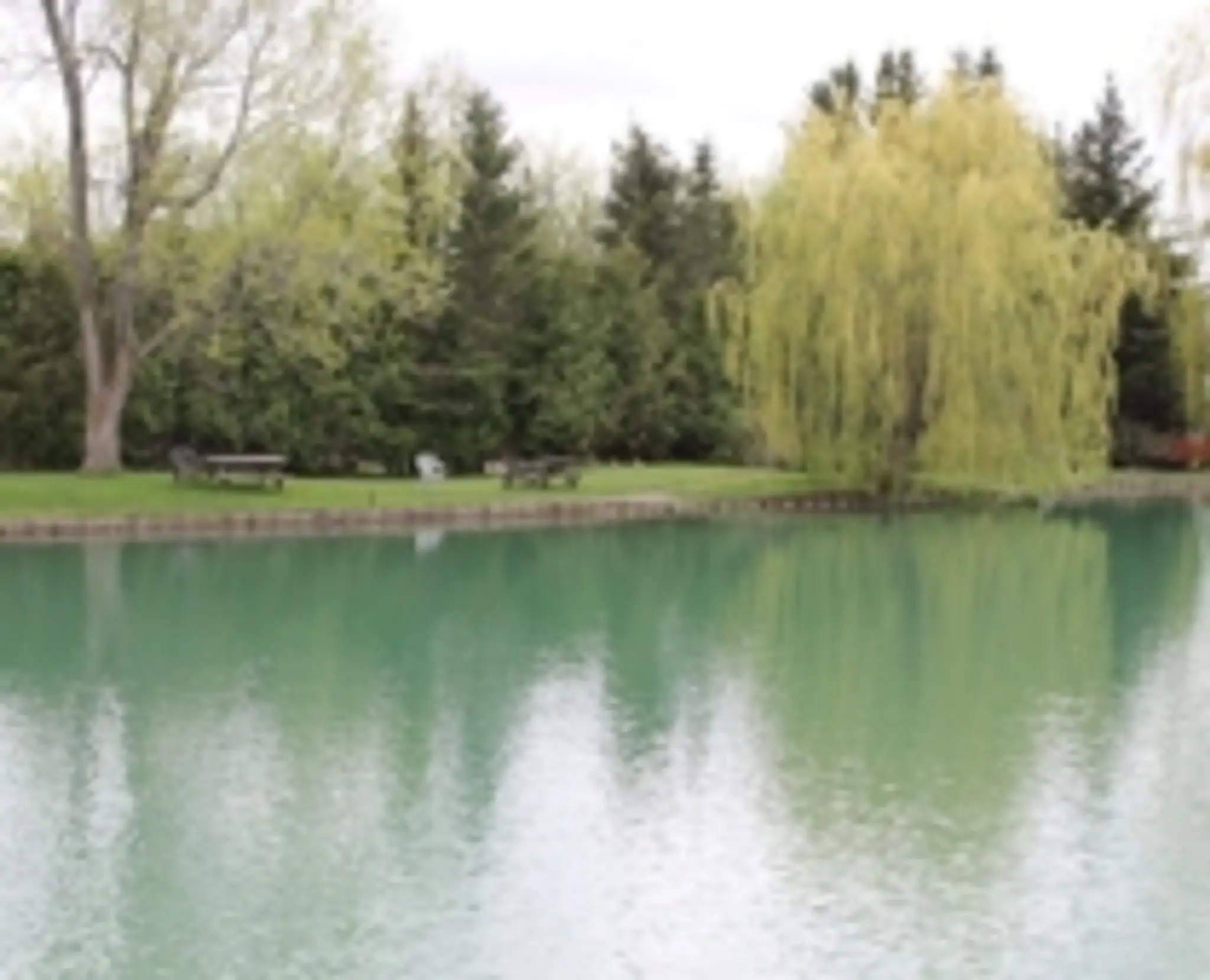 Burd's Family Fishing