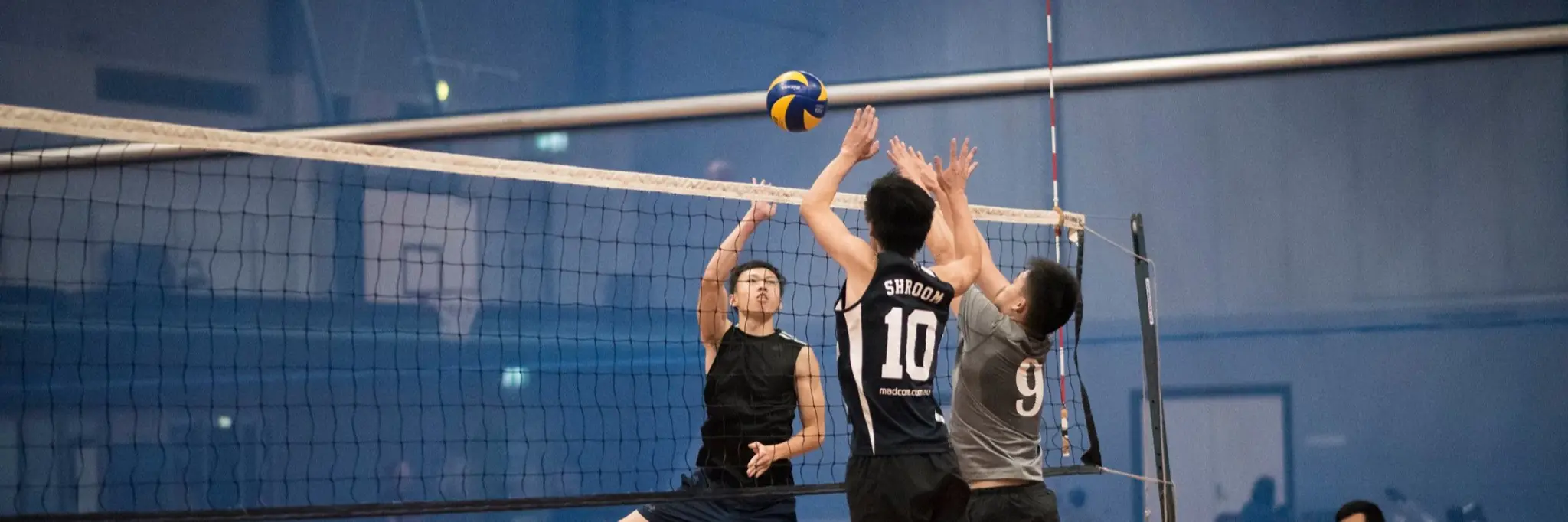Sydney Social Volleyball
