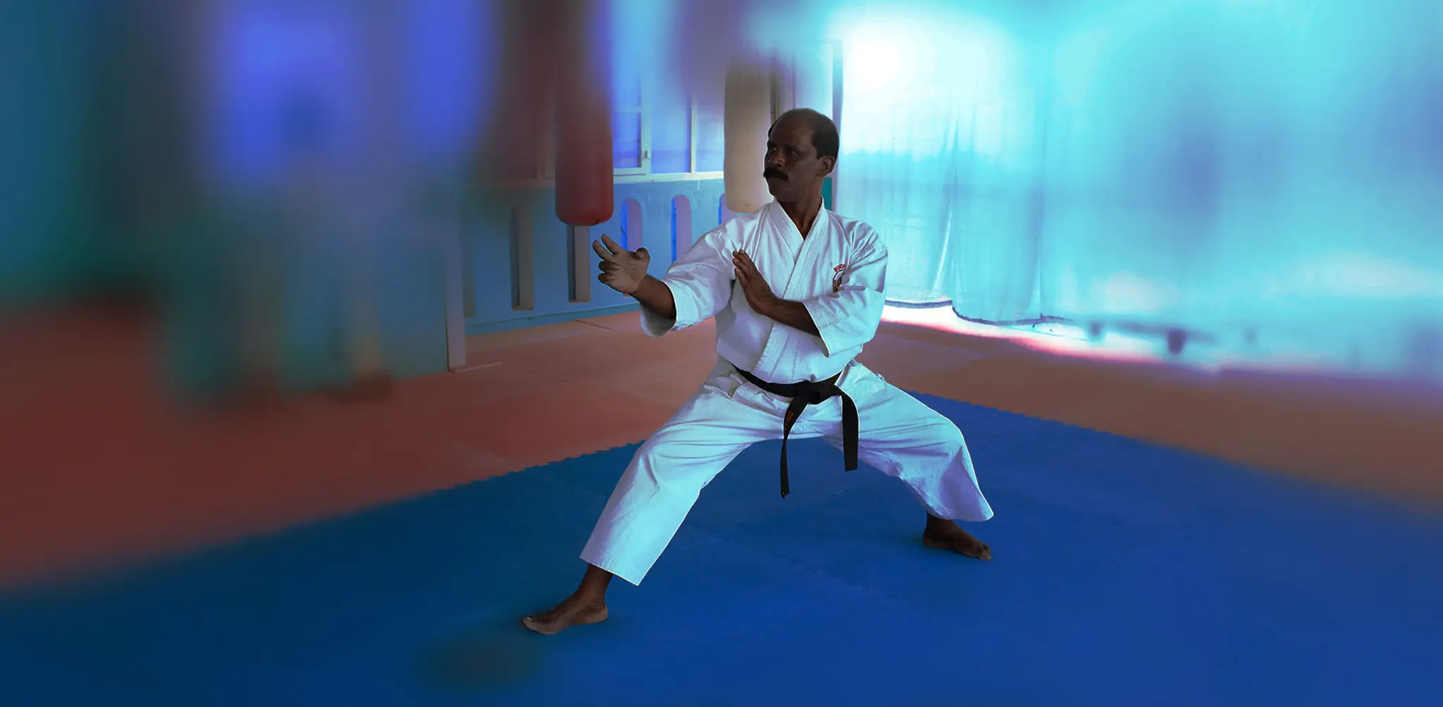 Okinawa Gojukan Karate-Do Training School