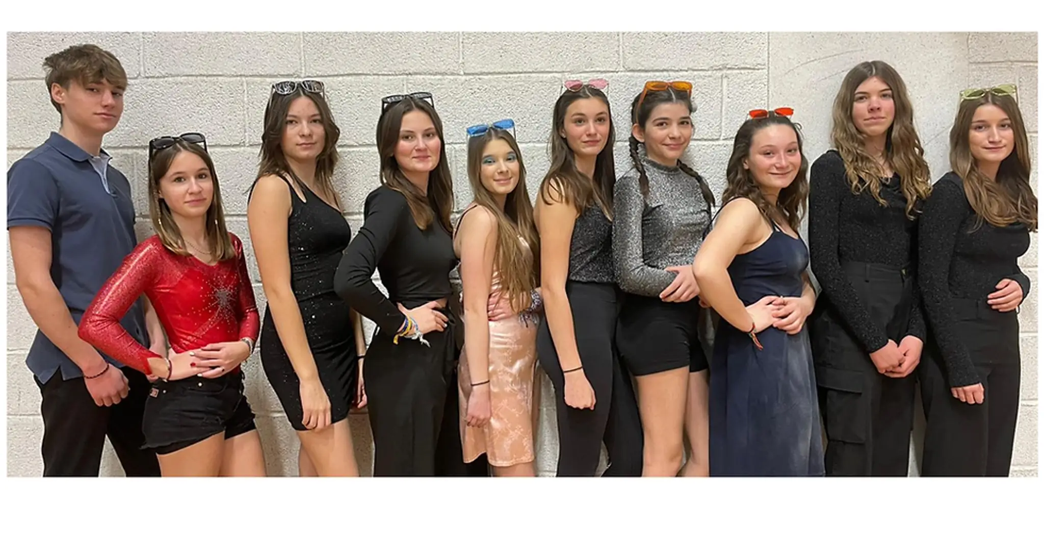 Hirondelle Gymnastique