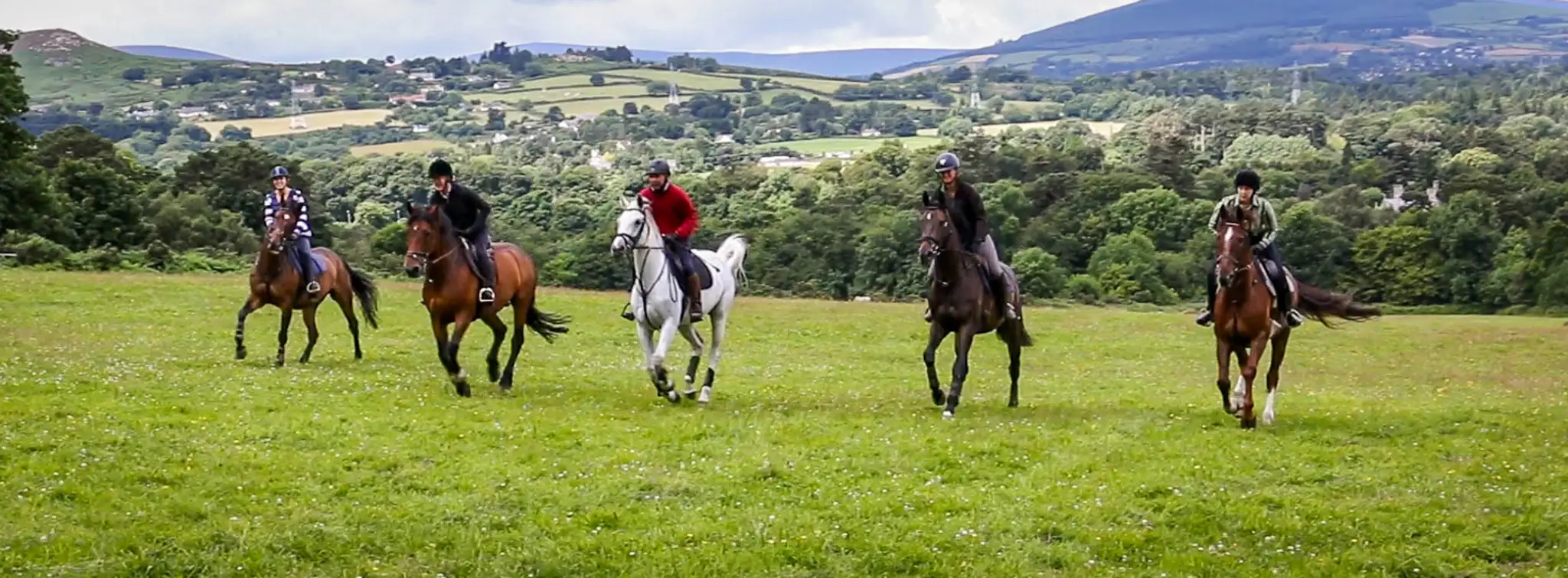 Brennanstown Riding School