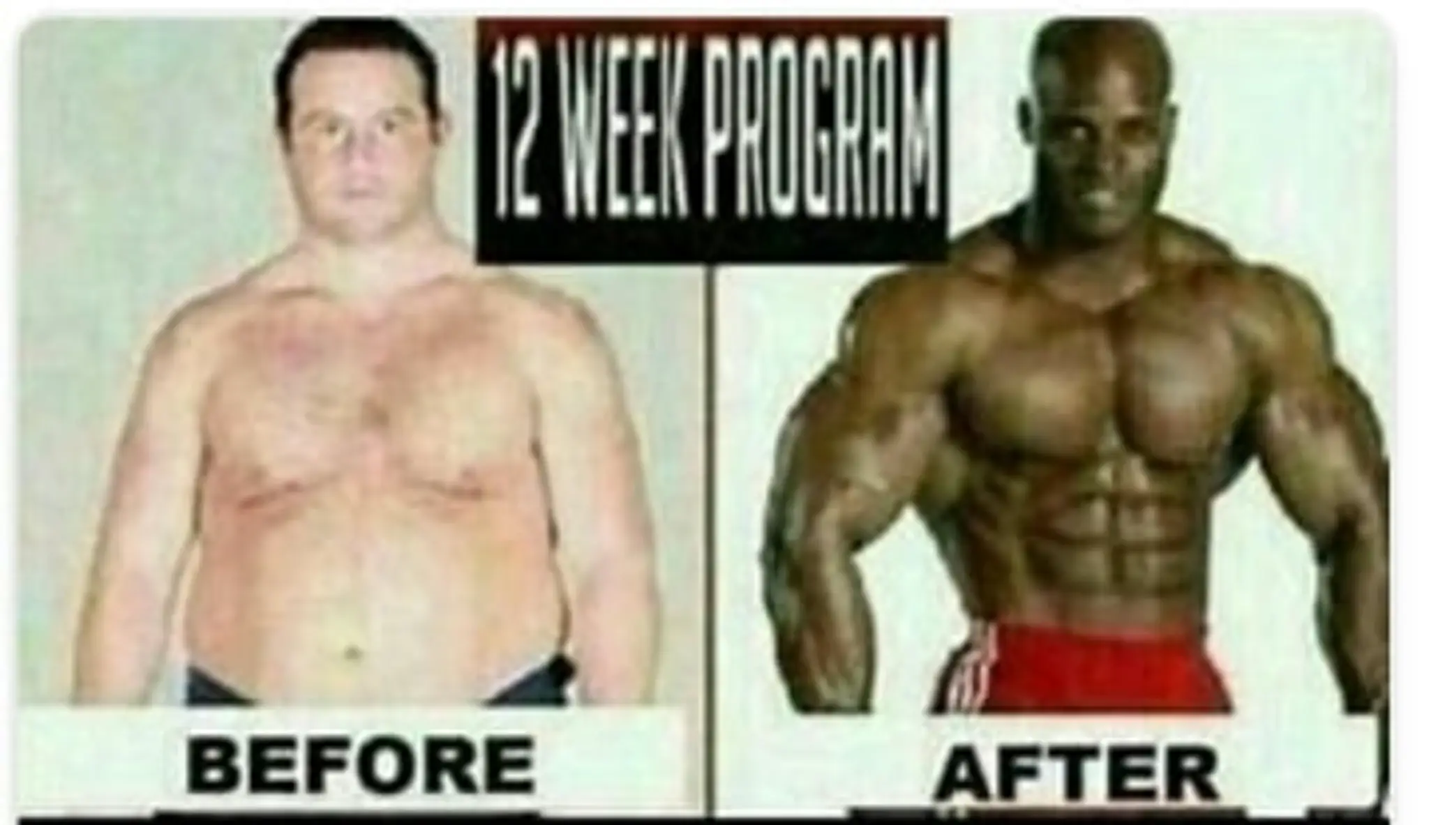 Trainer Anthony