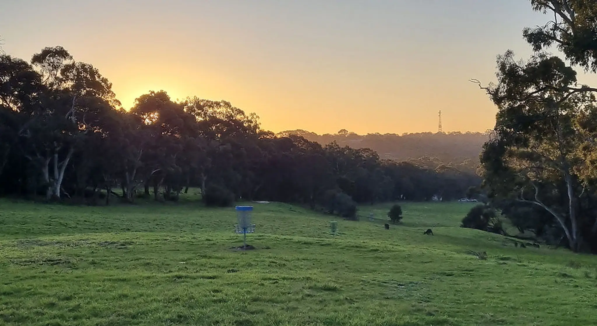 Adelaide Park Lands Disc Golf Course