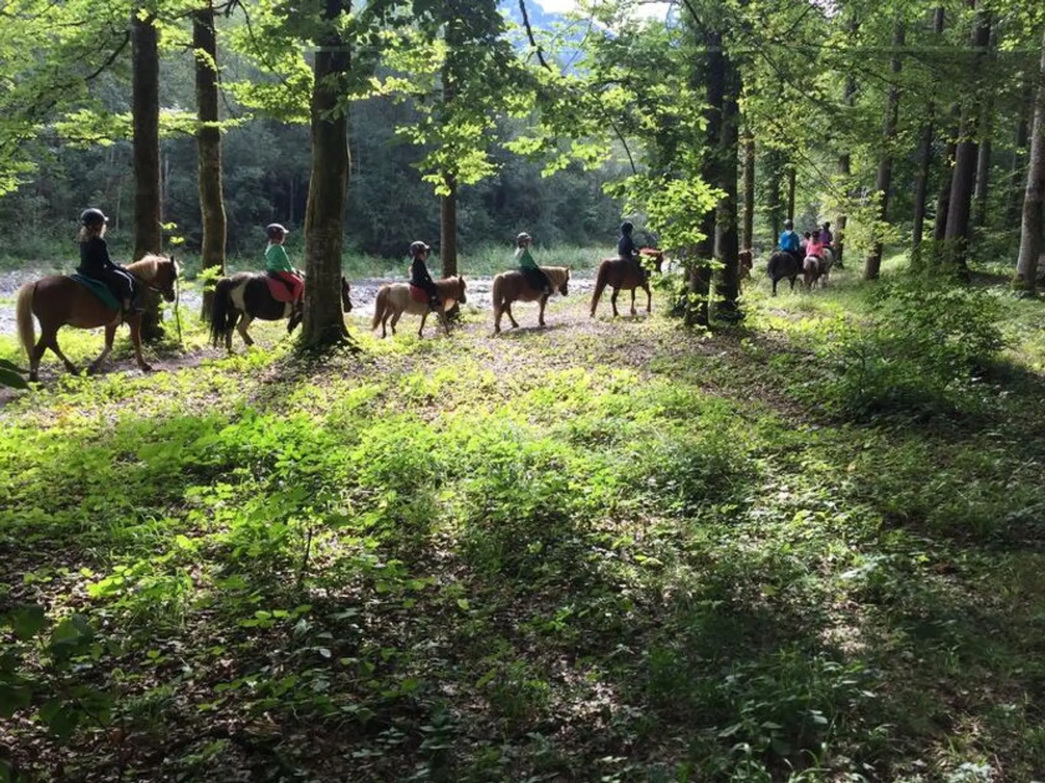Centre équestre Le Lays