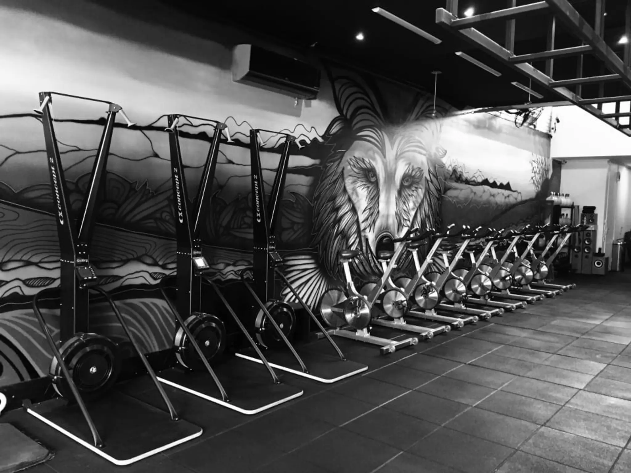 Black Wolf Training Centre