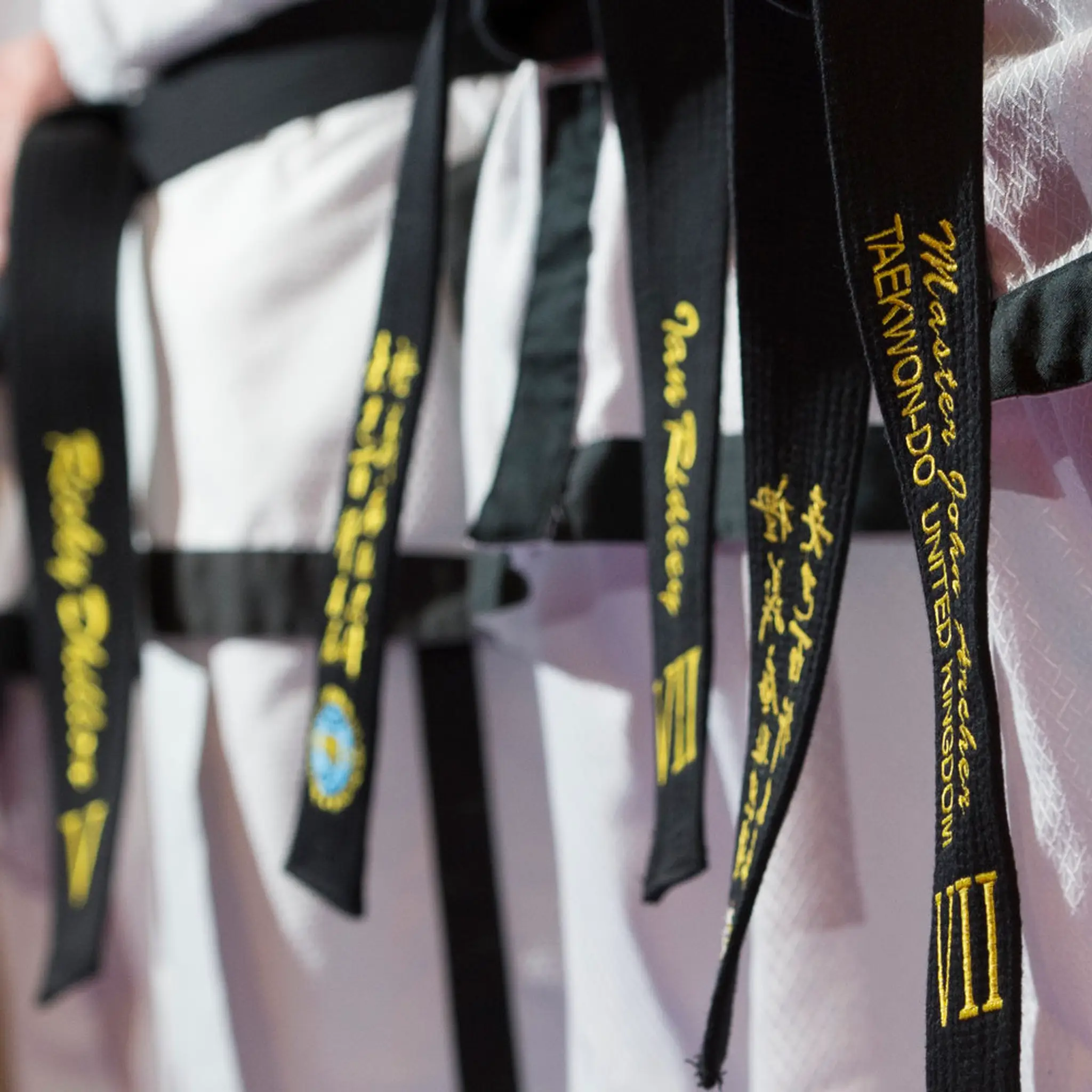 Solihull Taekwondo