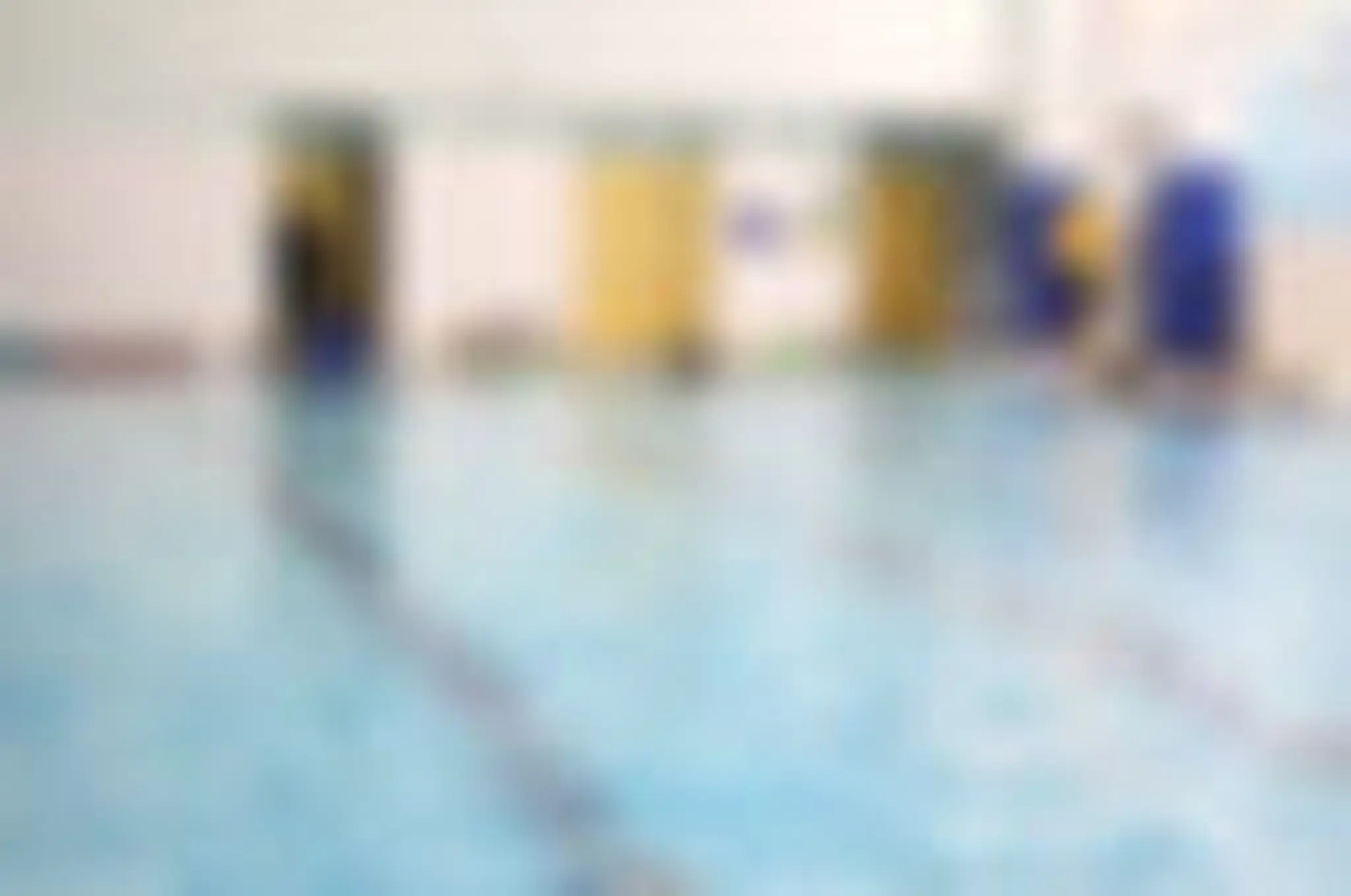 Ducks to Sharks | Swim School