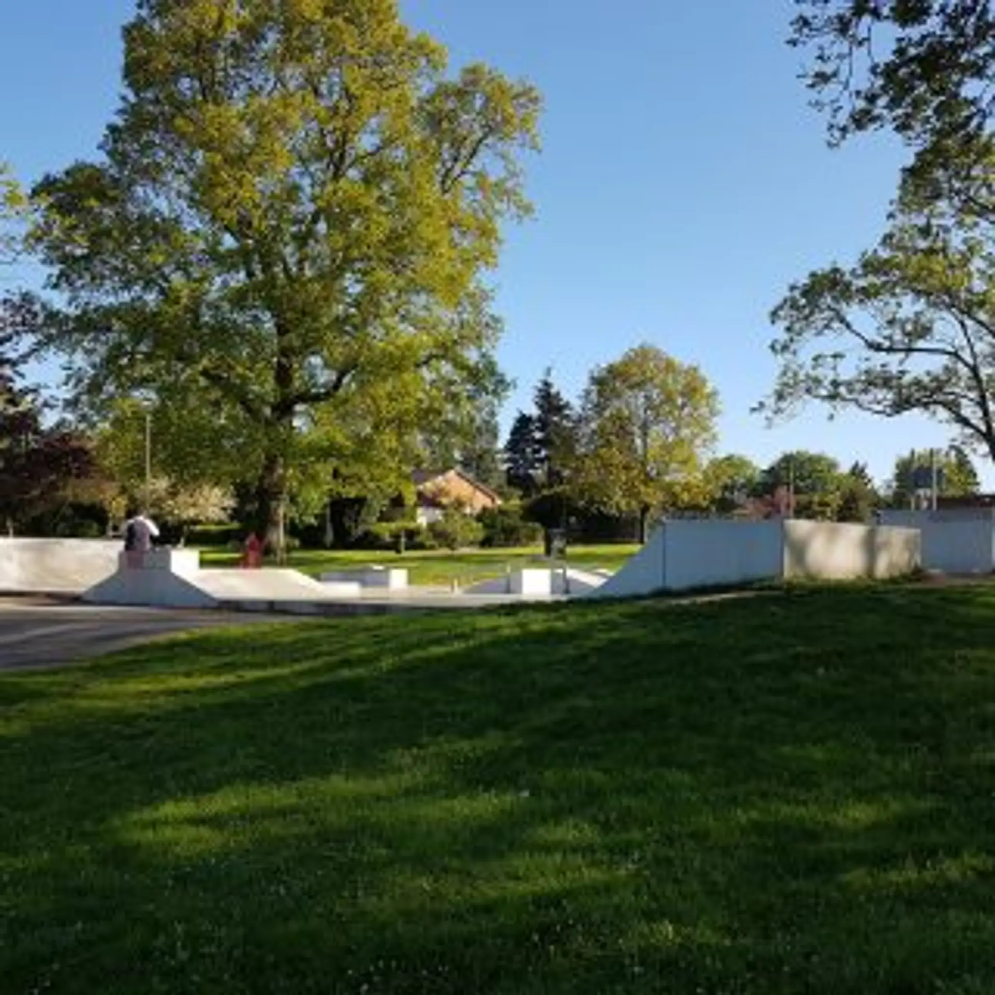 Friary Park Skatepark