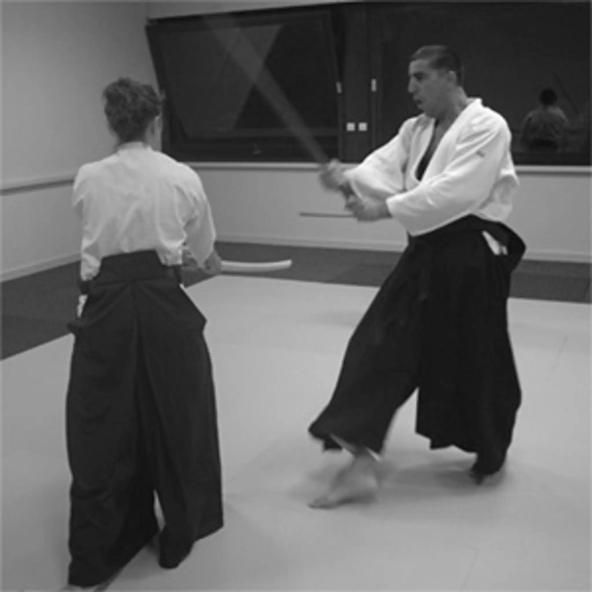 Aikido Club D'eloise