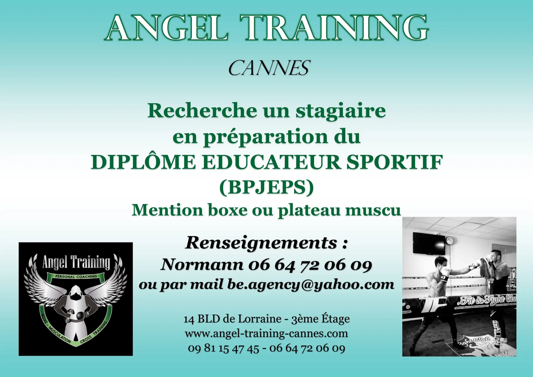 Angel Training