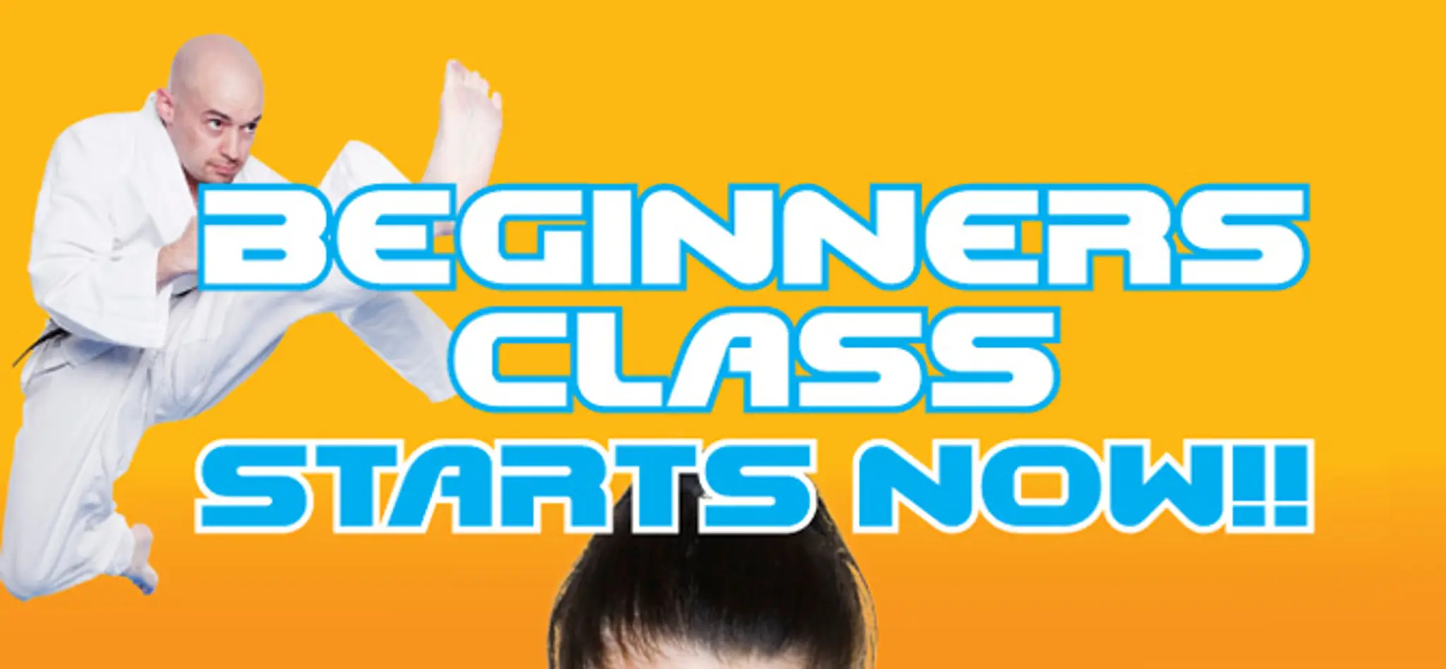 Palcic Taekwondo Hemel Hempstead